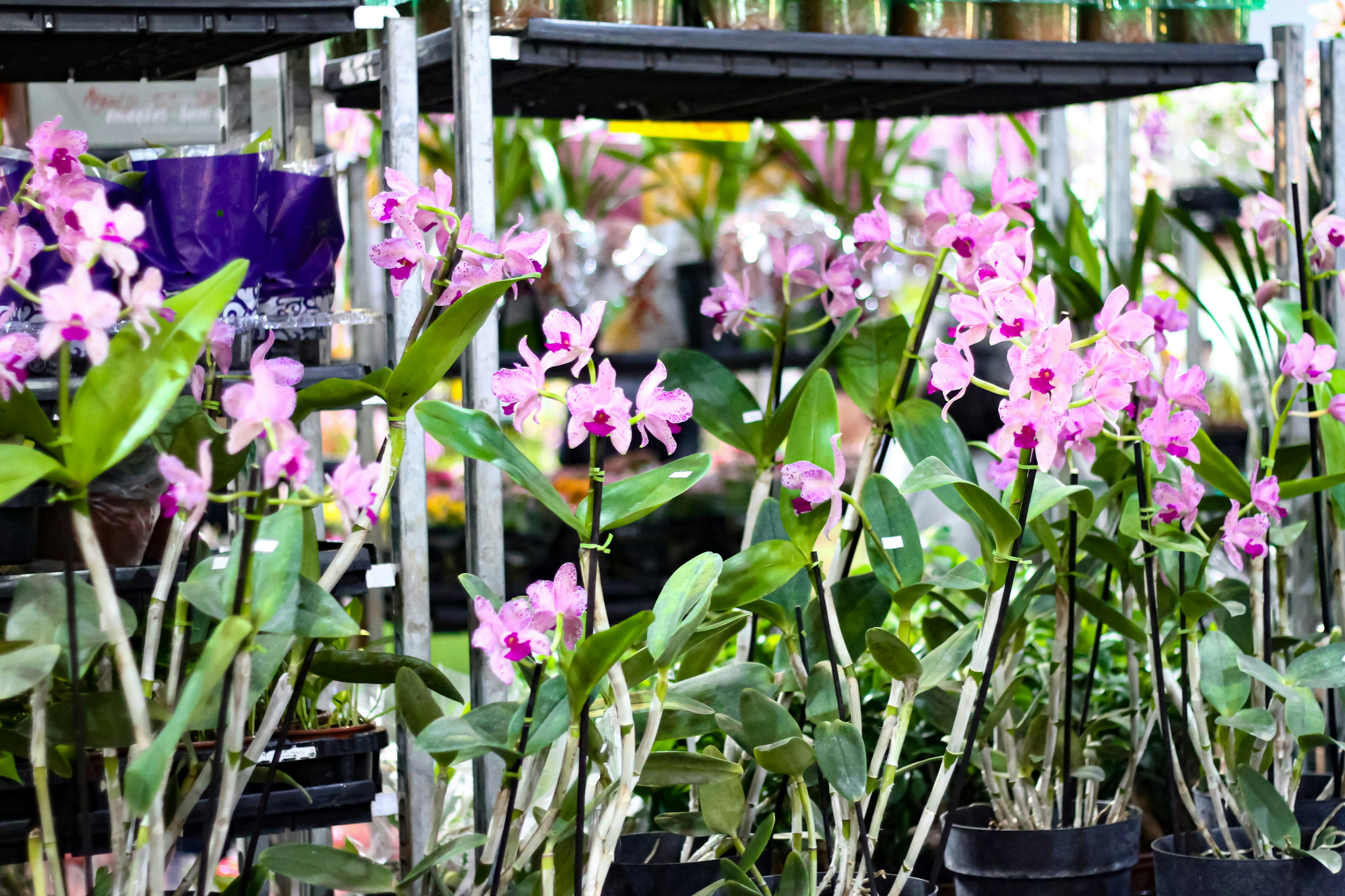 Photo by najoi_designer