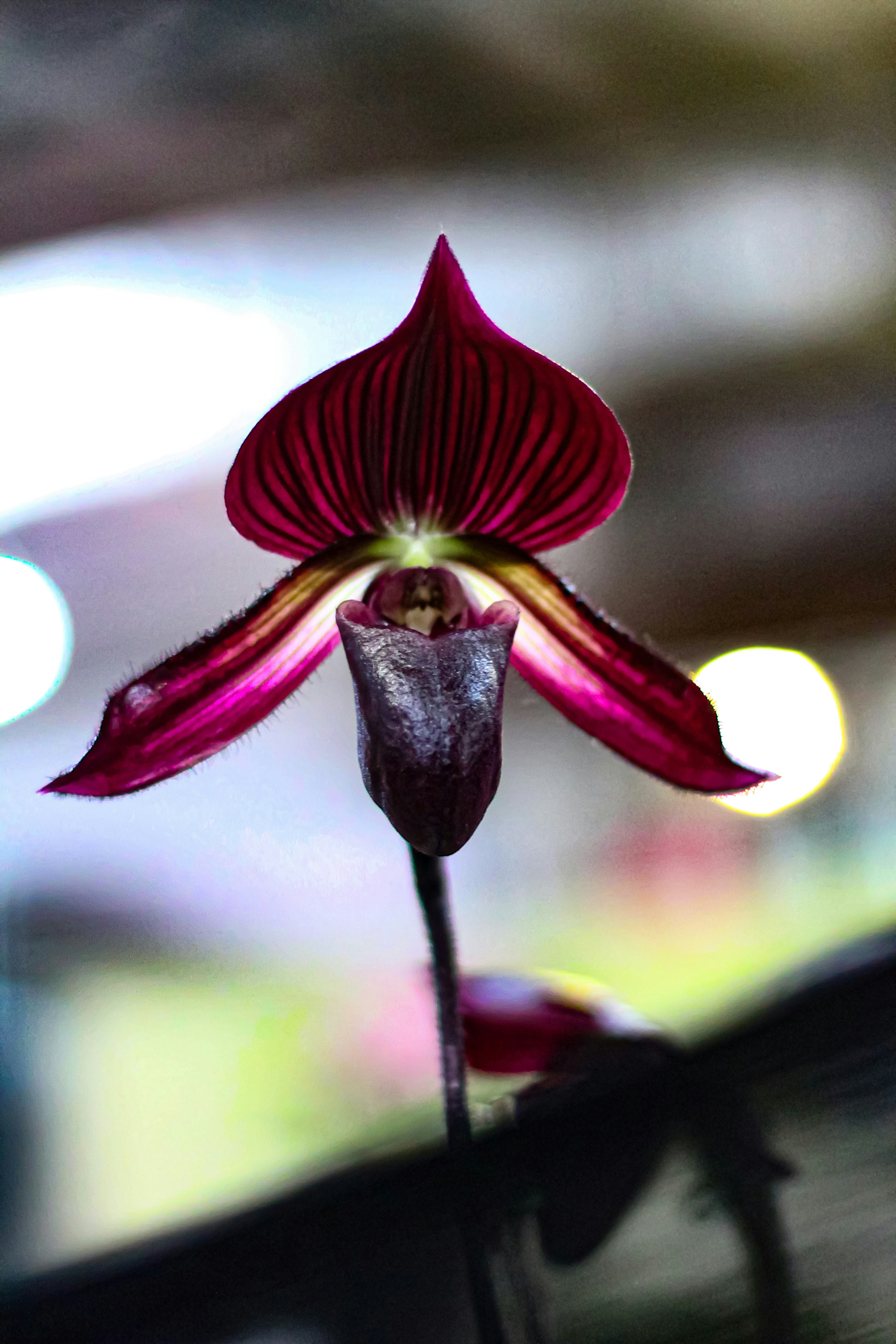 Photo by najoi_designer