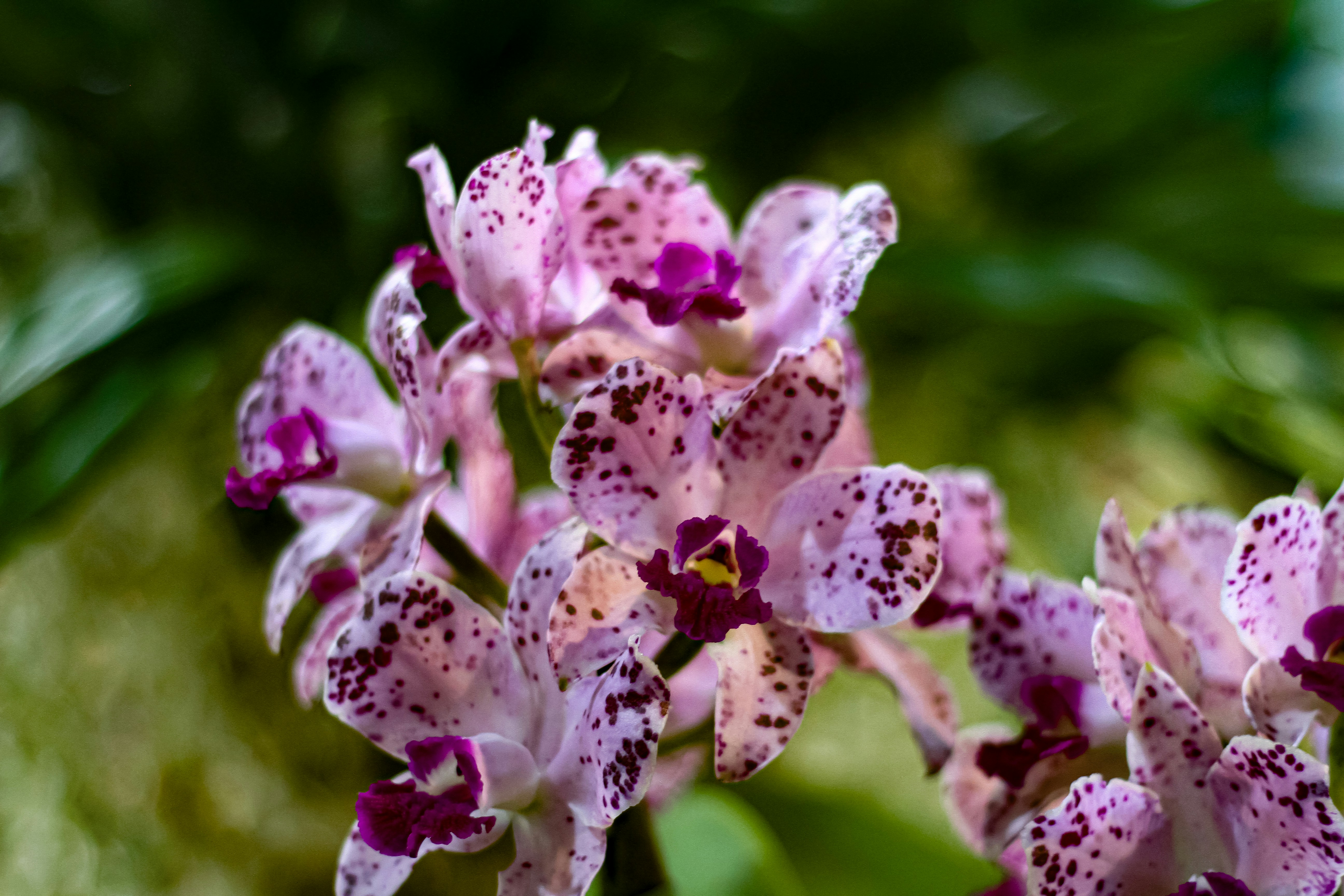 Photo by najoi_designer