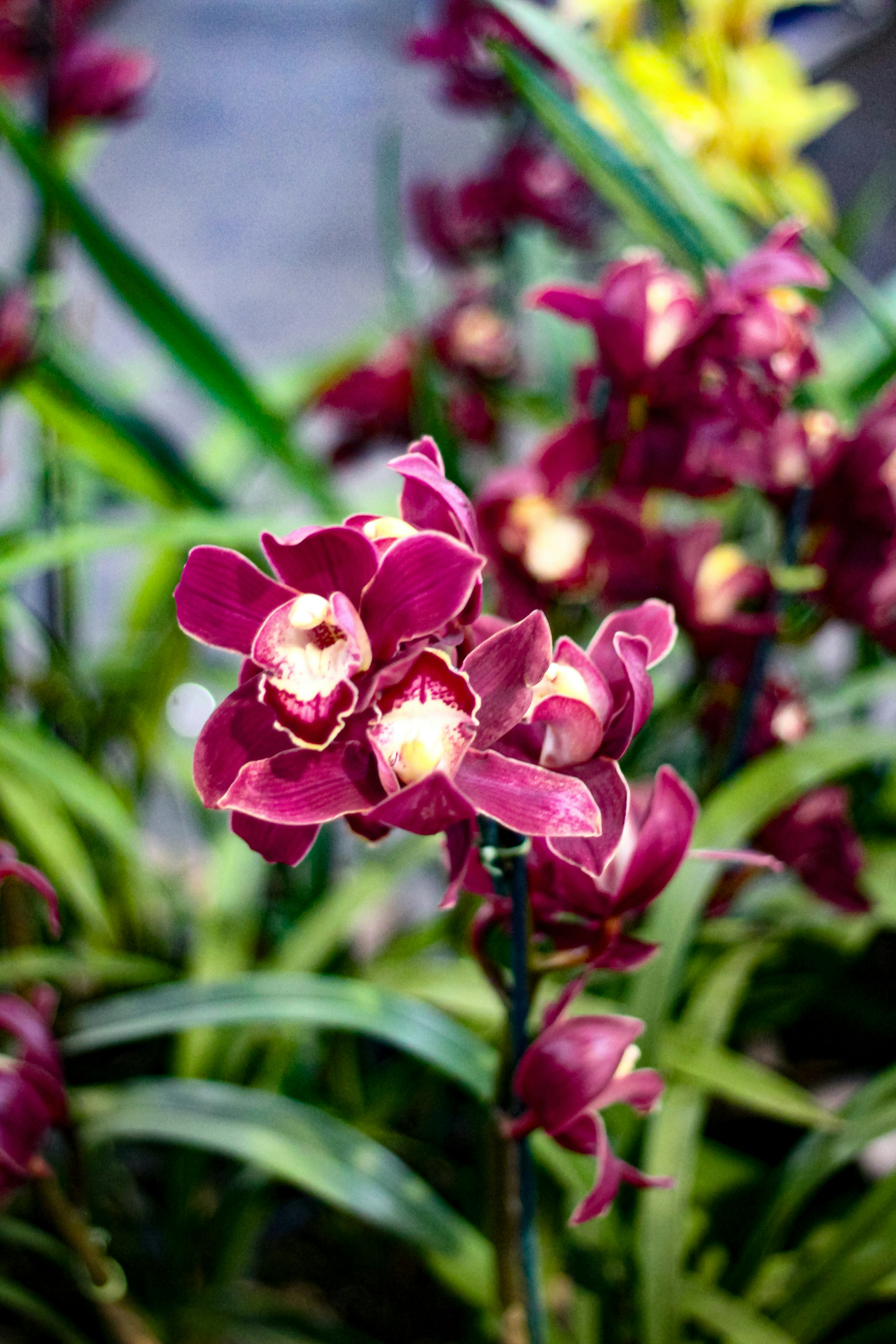 Photo by najoi_designer