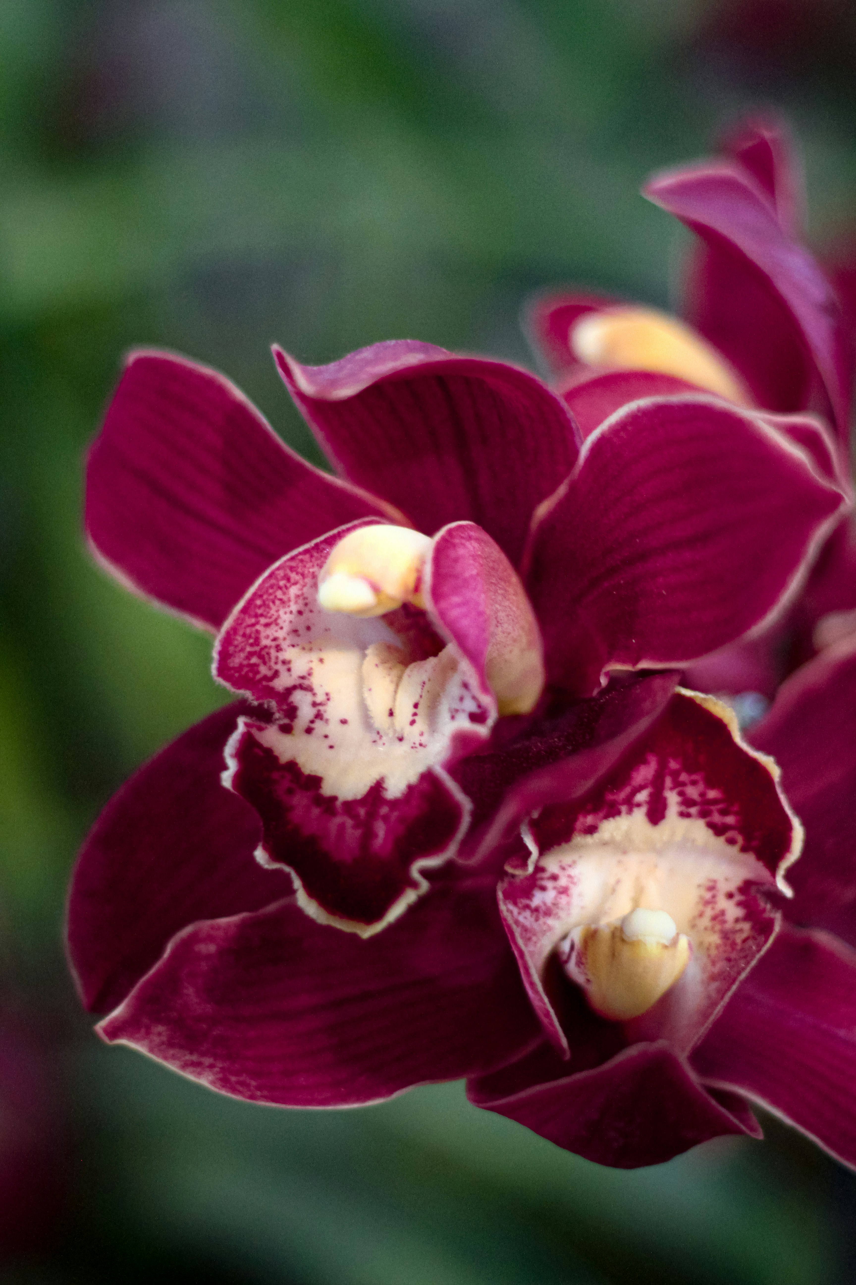 Photo by najoi_designer