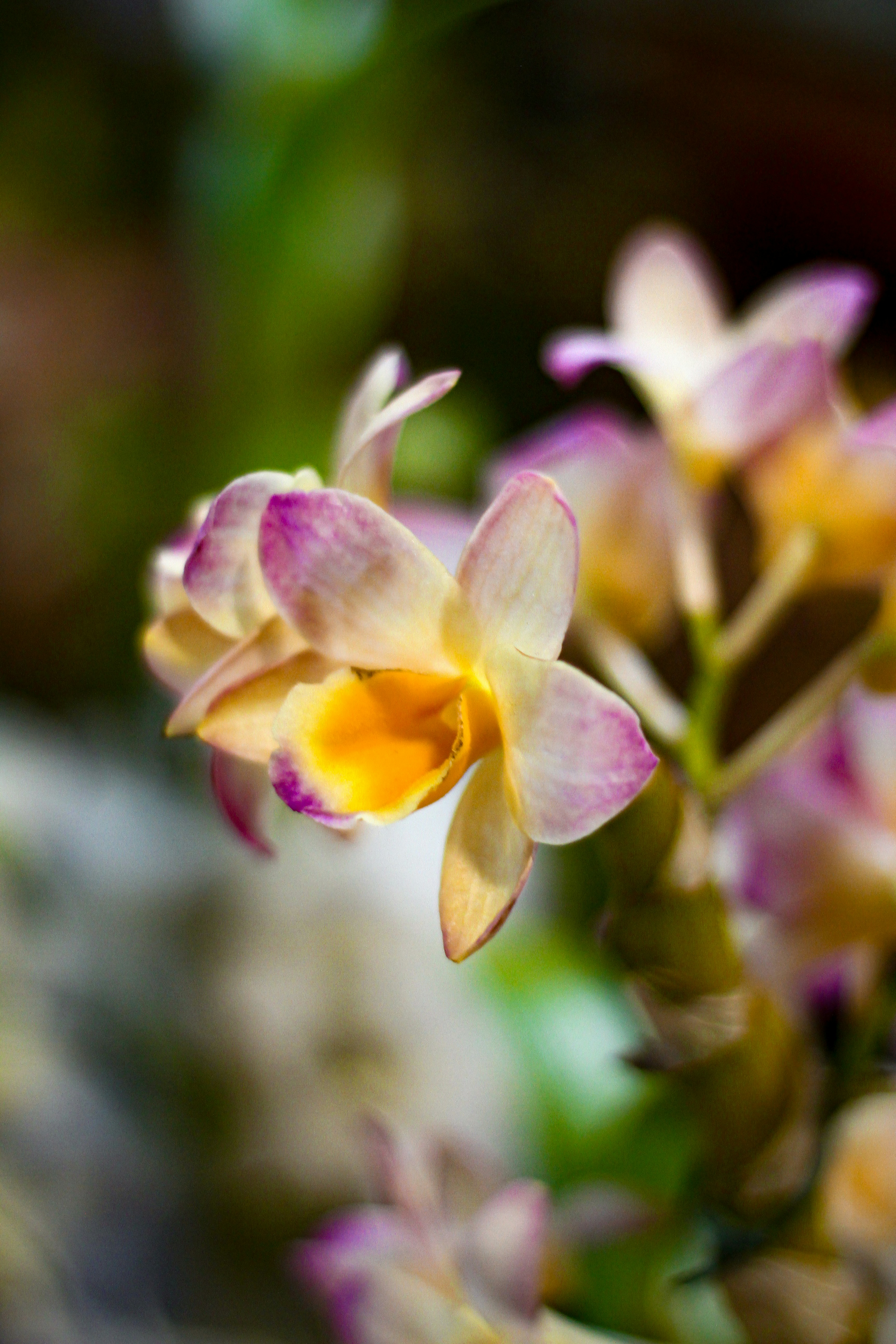 Photo by najoi_designer