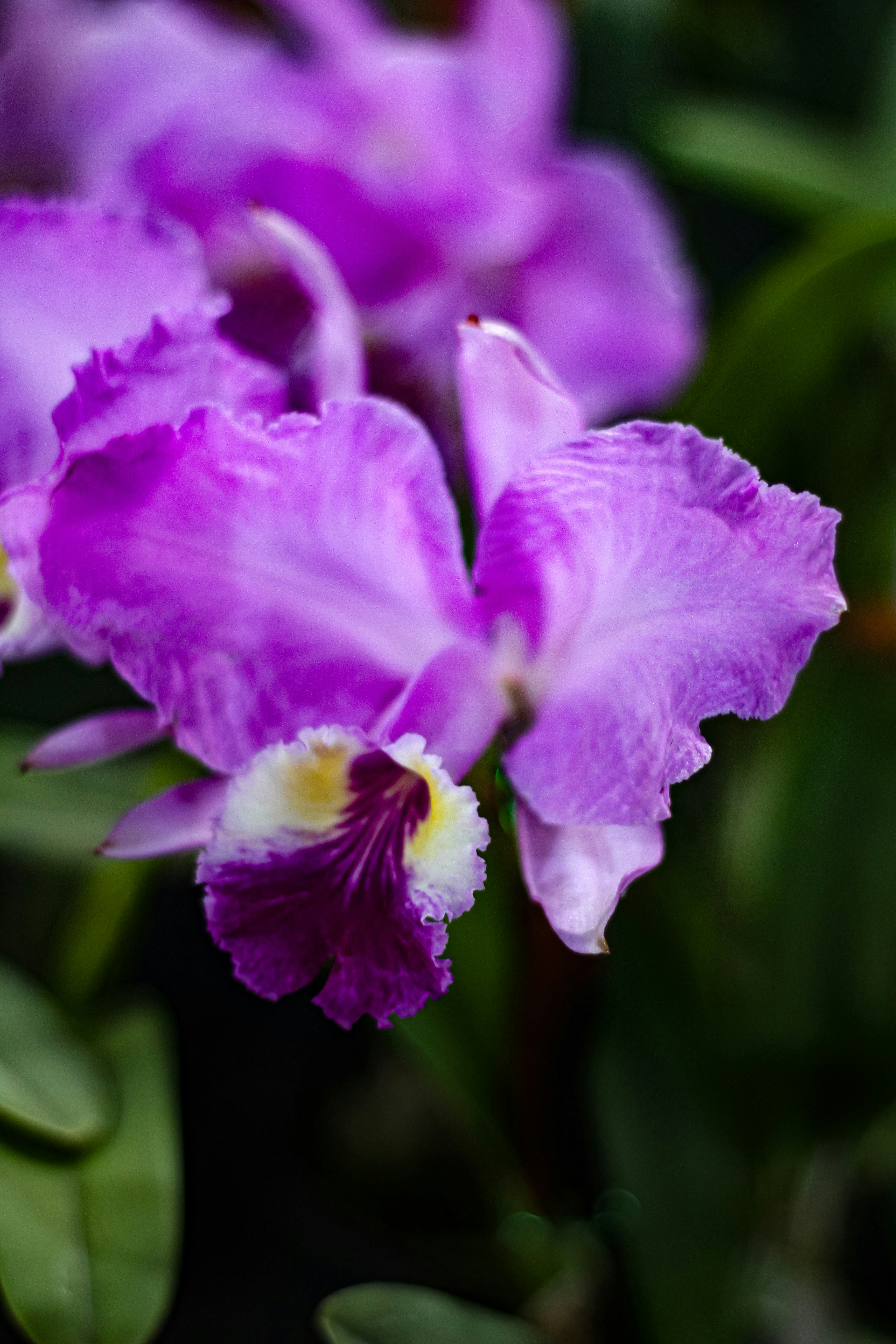 Photo by najoi_designer