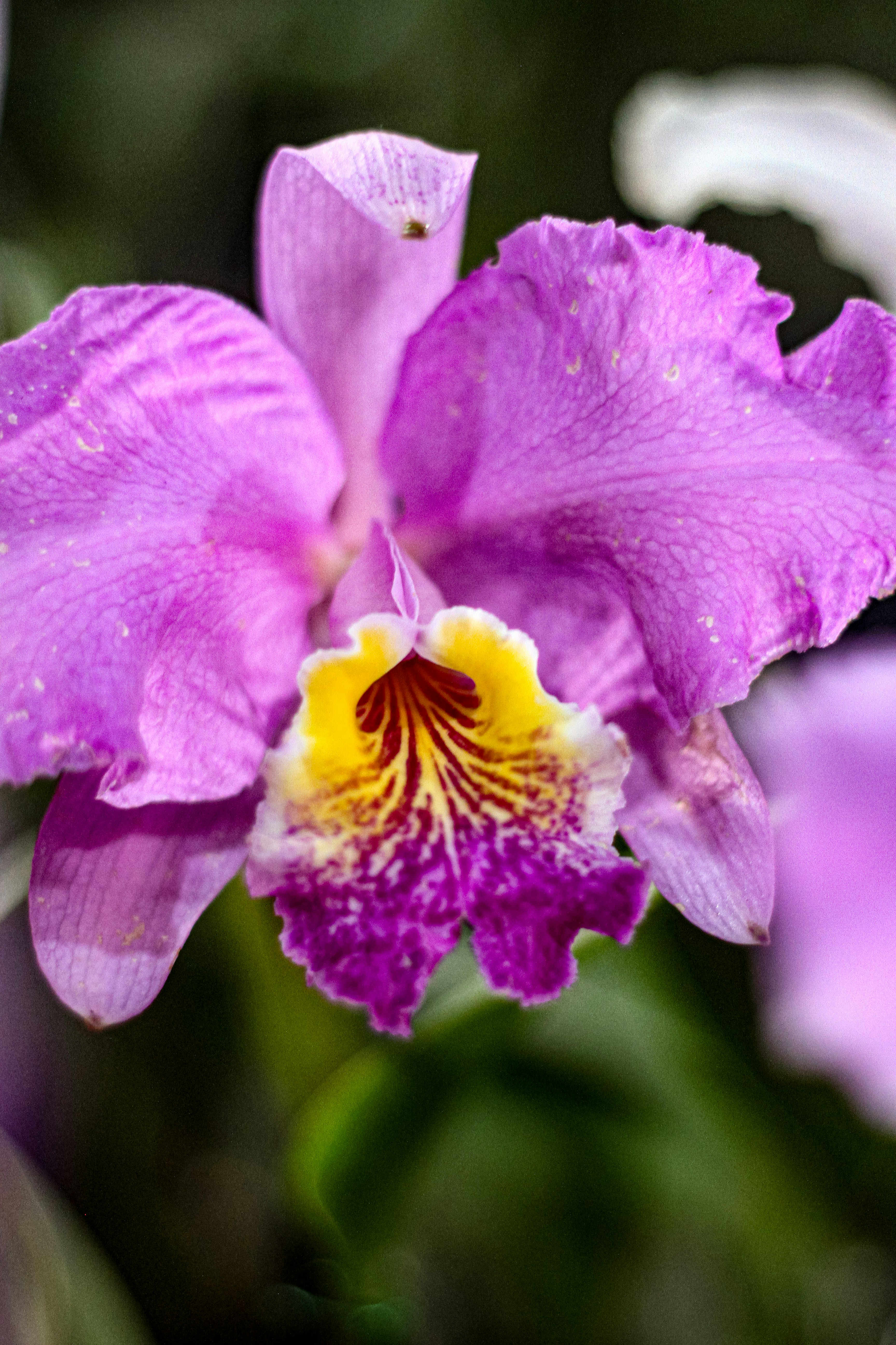 Photo by najoi_designer