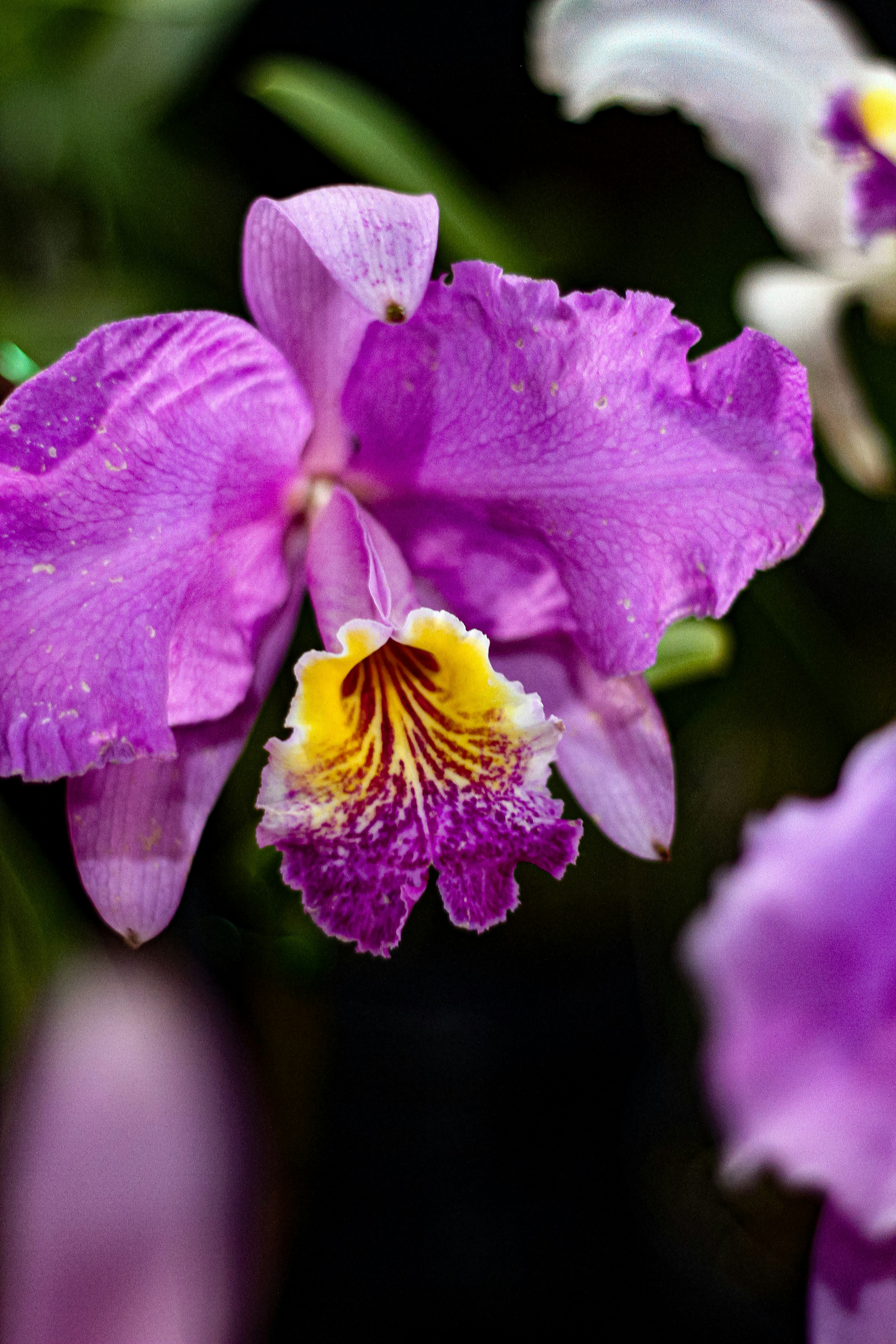 Photo by najoi_designer