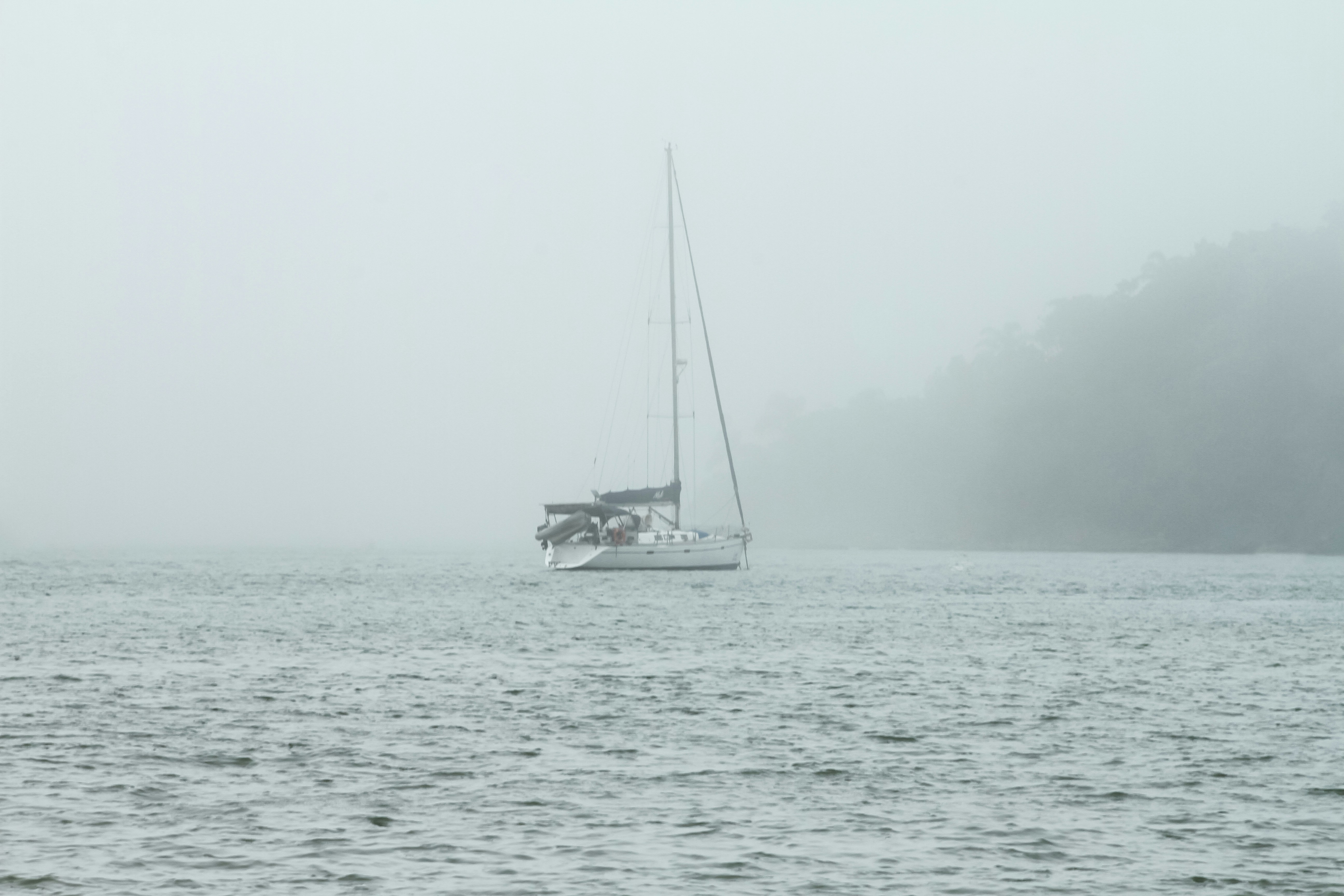 Photo by najoi_designer