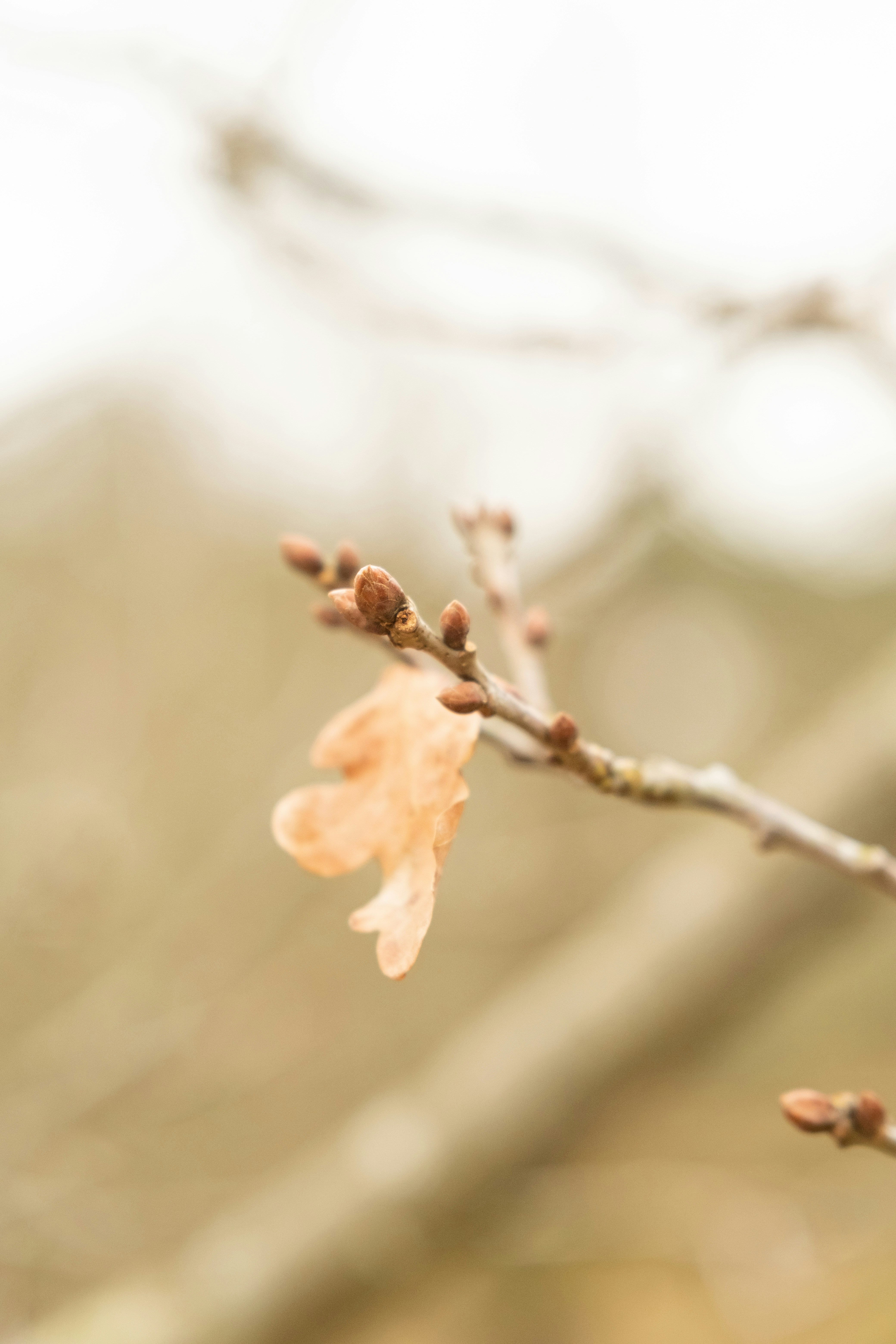 Good-bye Winter - Hello Spring