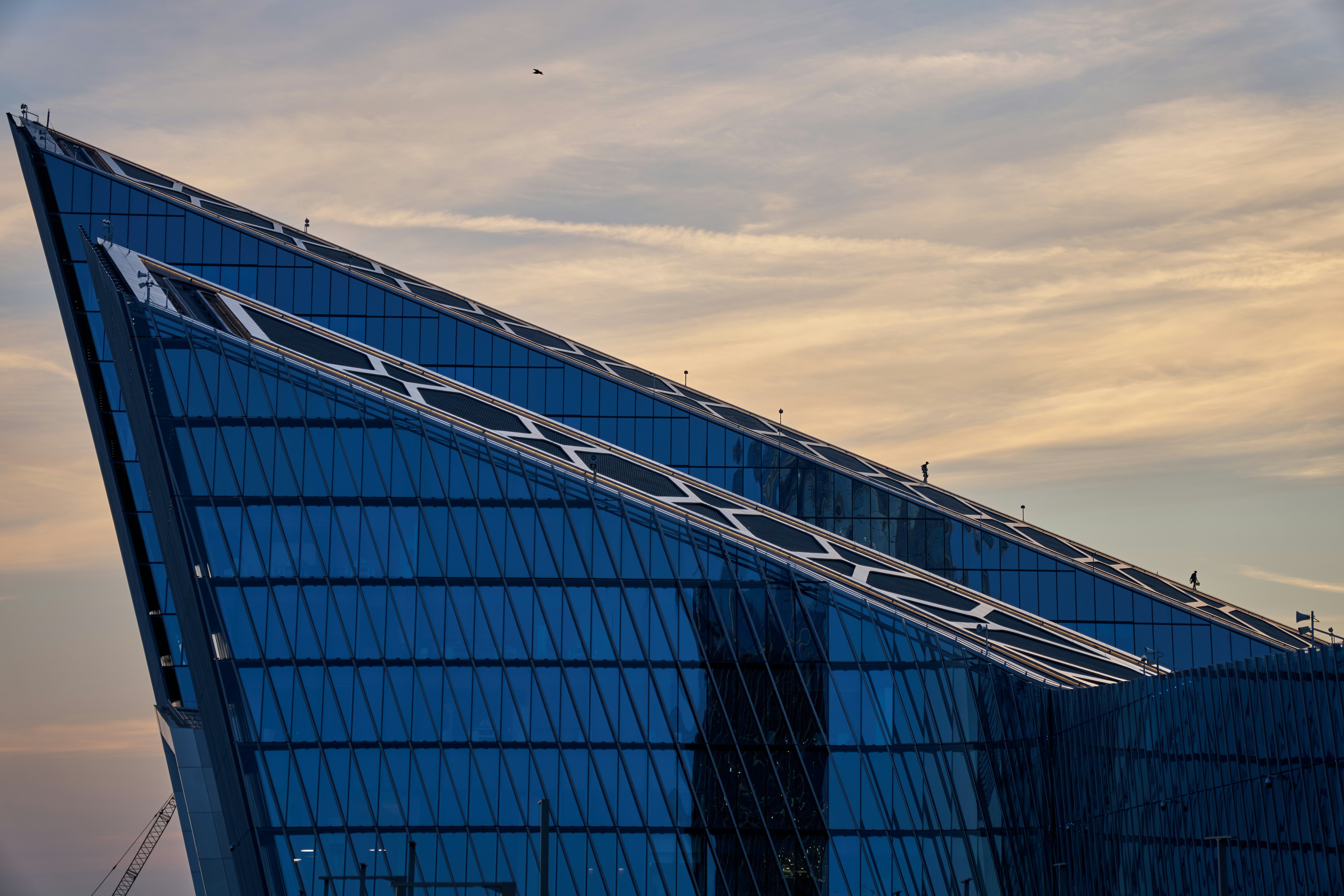 Photo by lostillusion