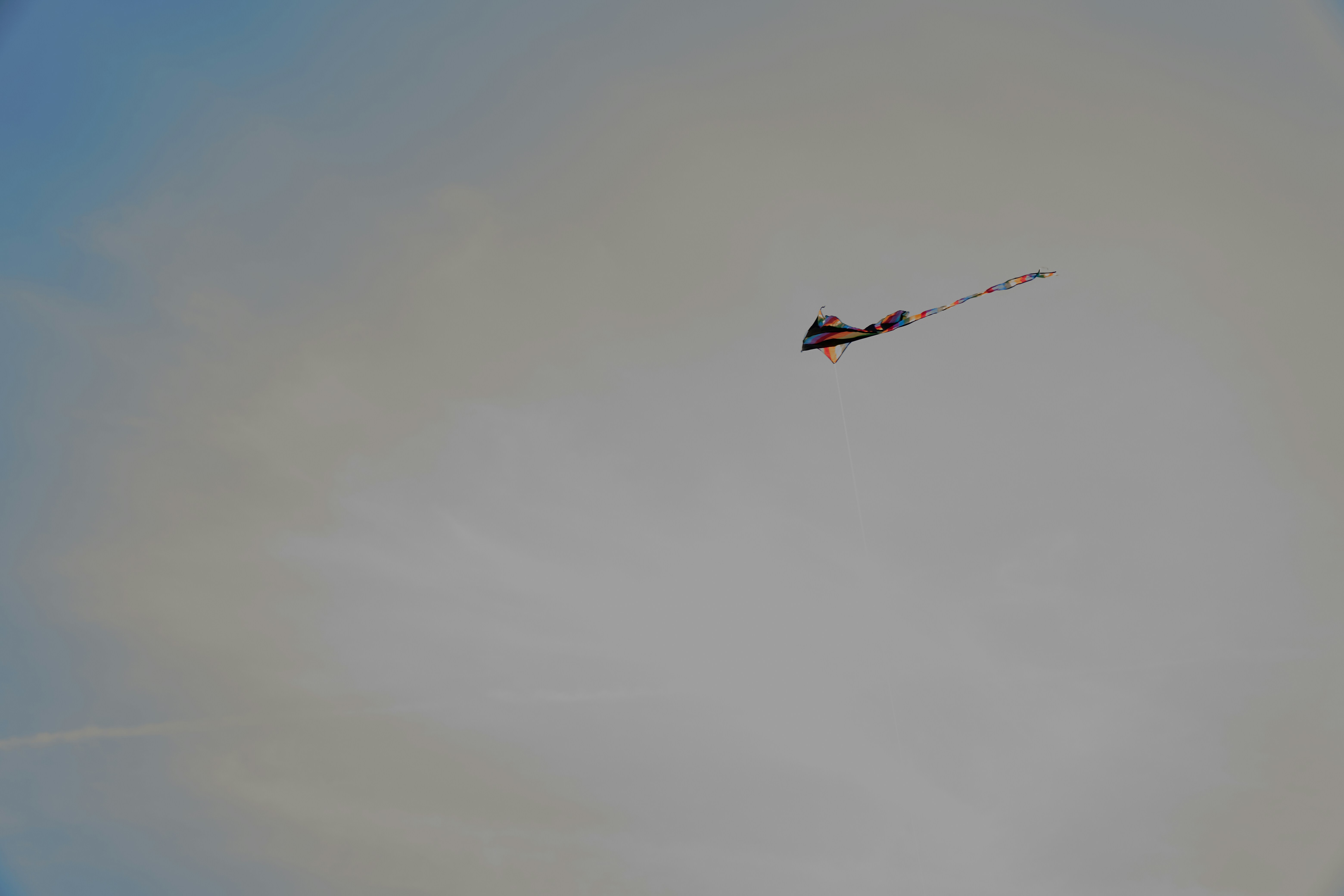 Photo by lostillusion