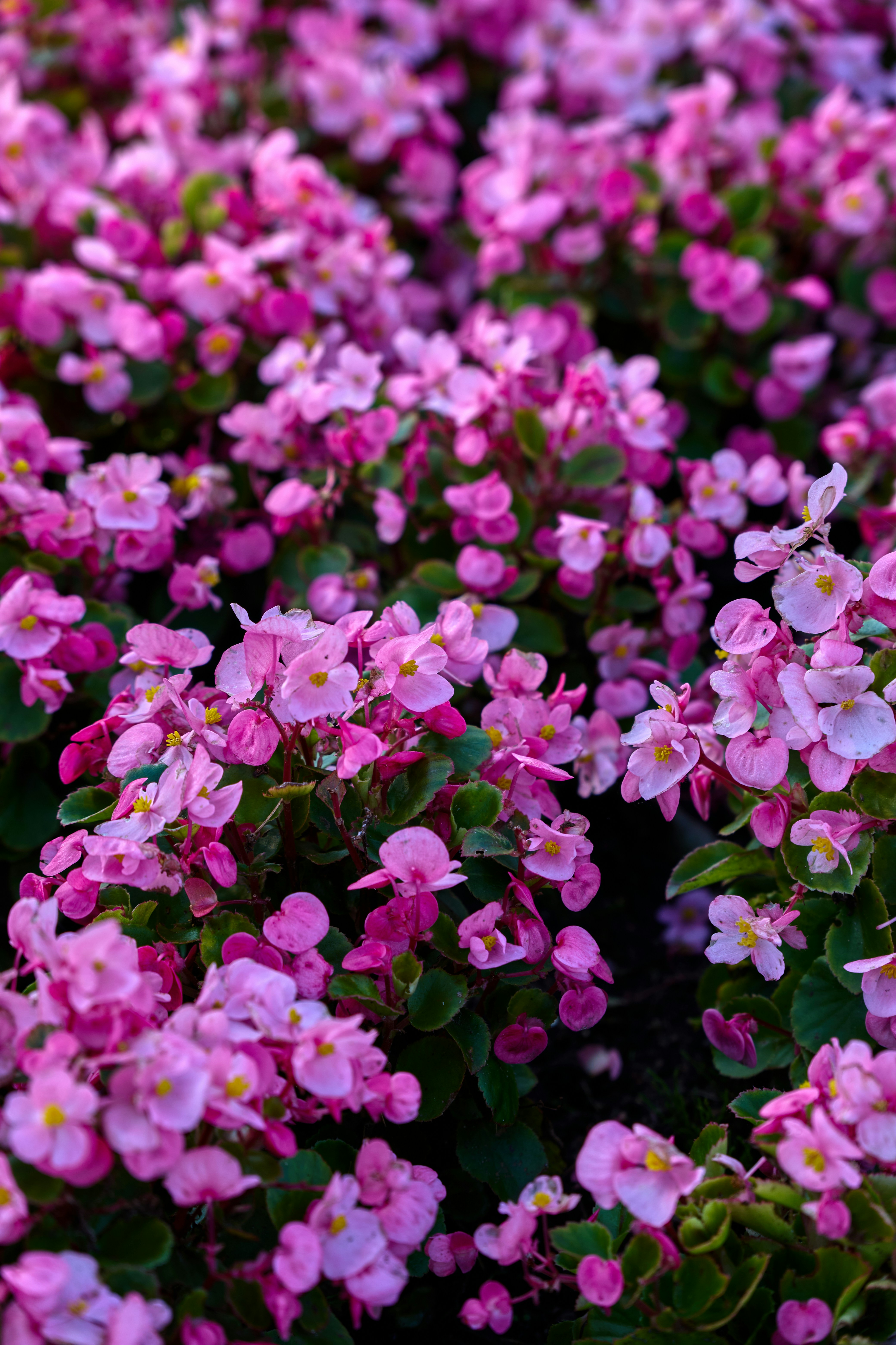 Photo by lostillusion