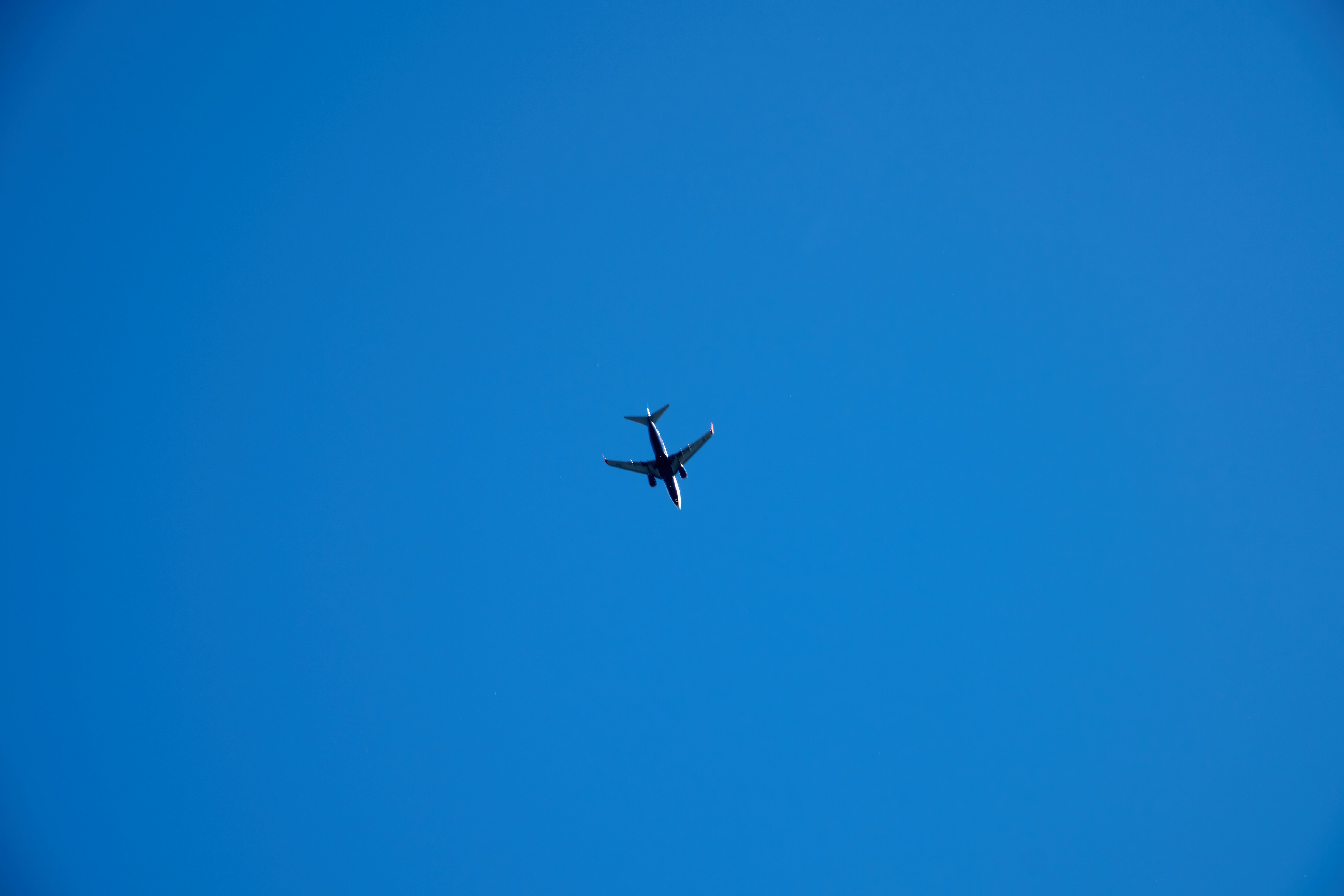 Photo by lostillusion