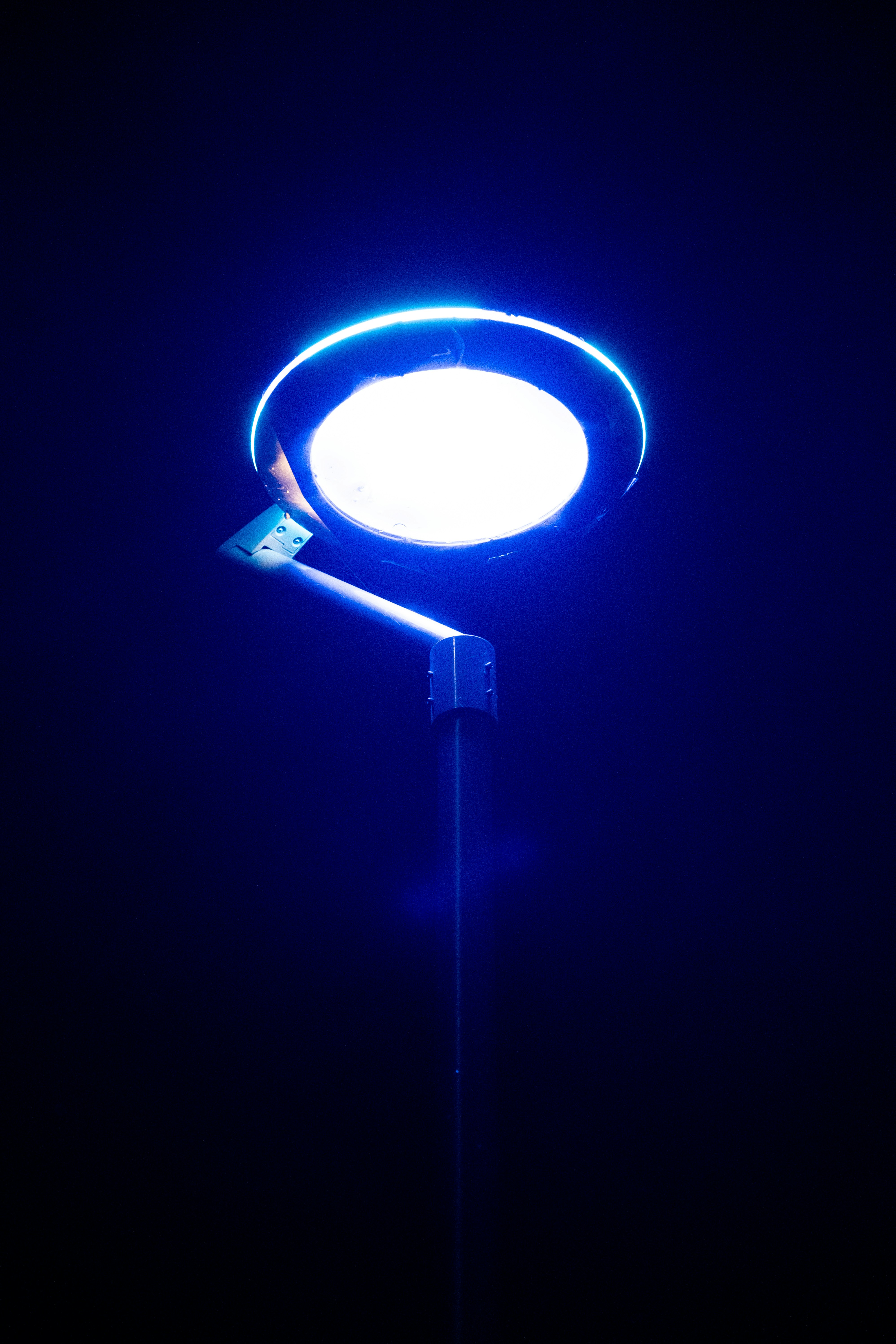 Photo by savanne_jpeg