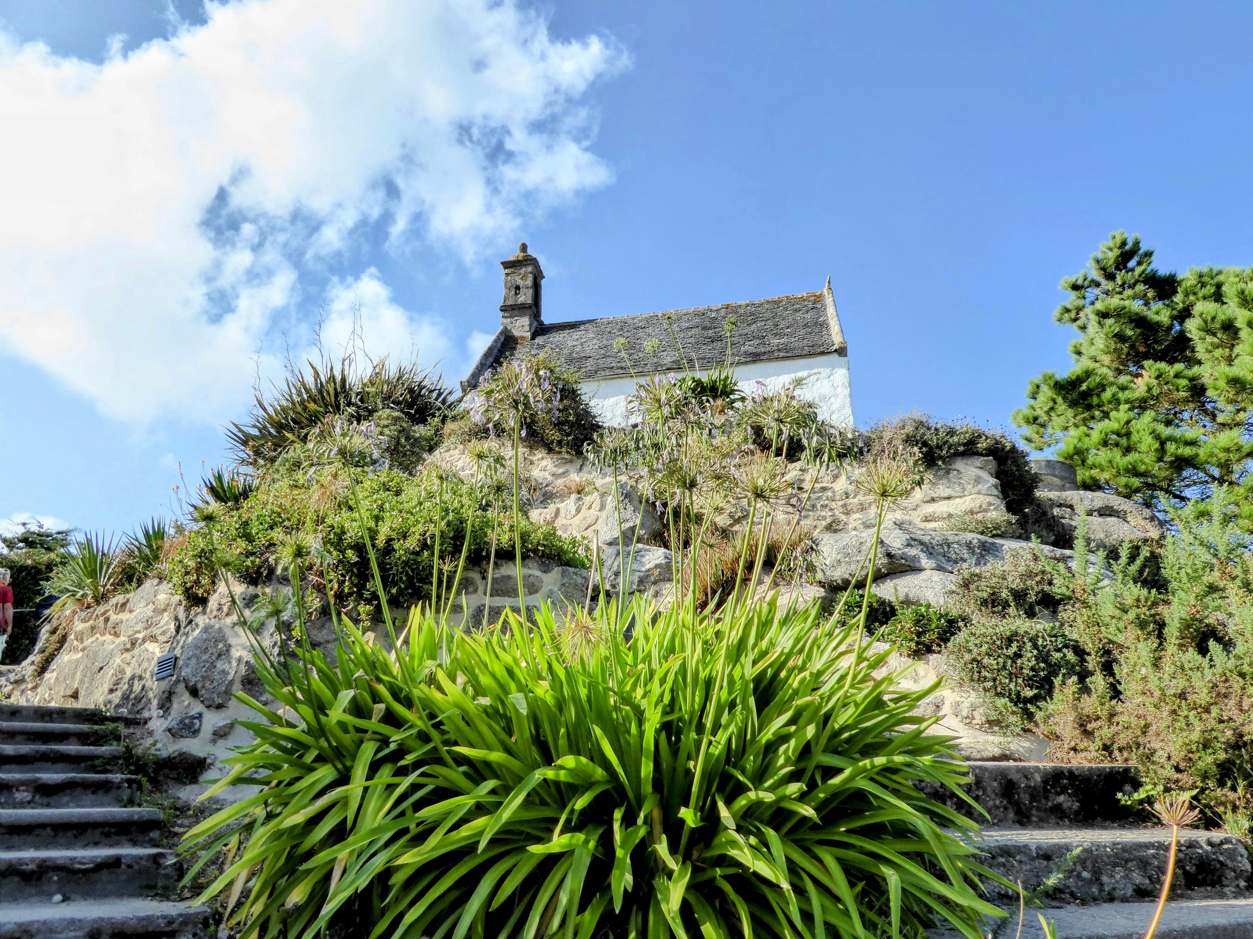 Ein Haus auf einem Hügel neben einem üppigen grünen Wald