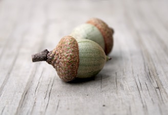 A close up of two acorns on a wooden surface