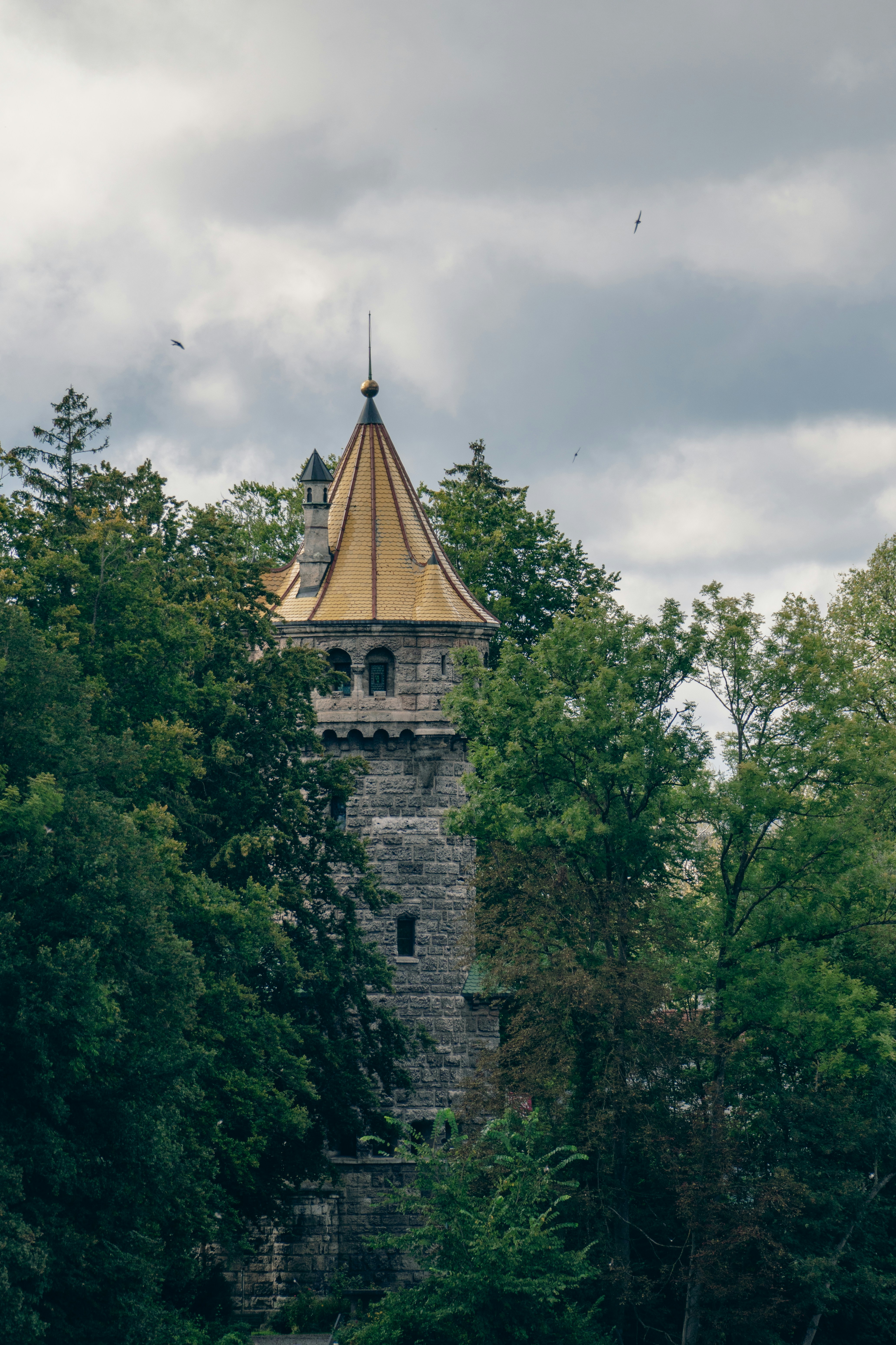 Photo by jan_ledermann