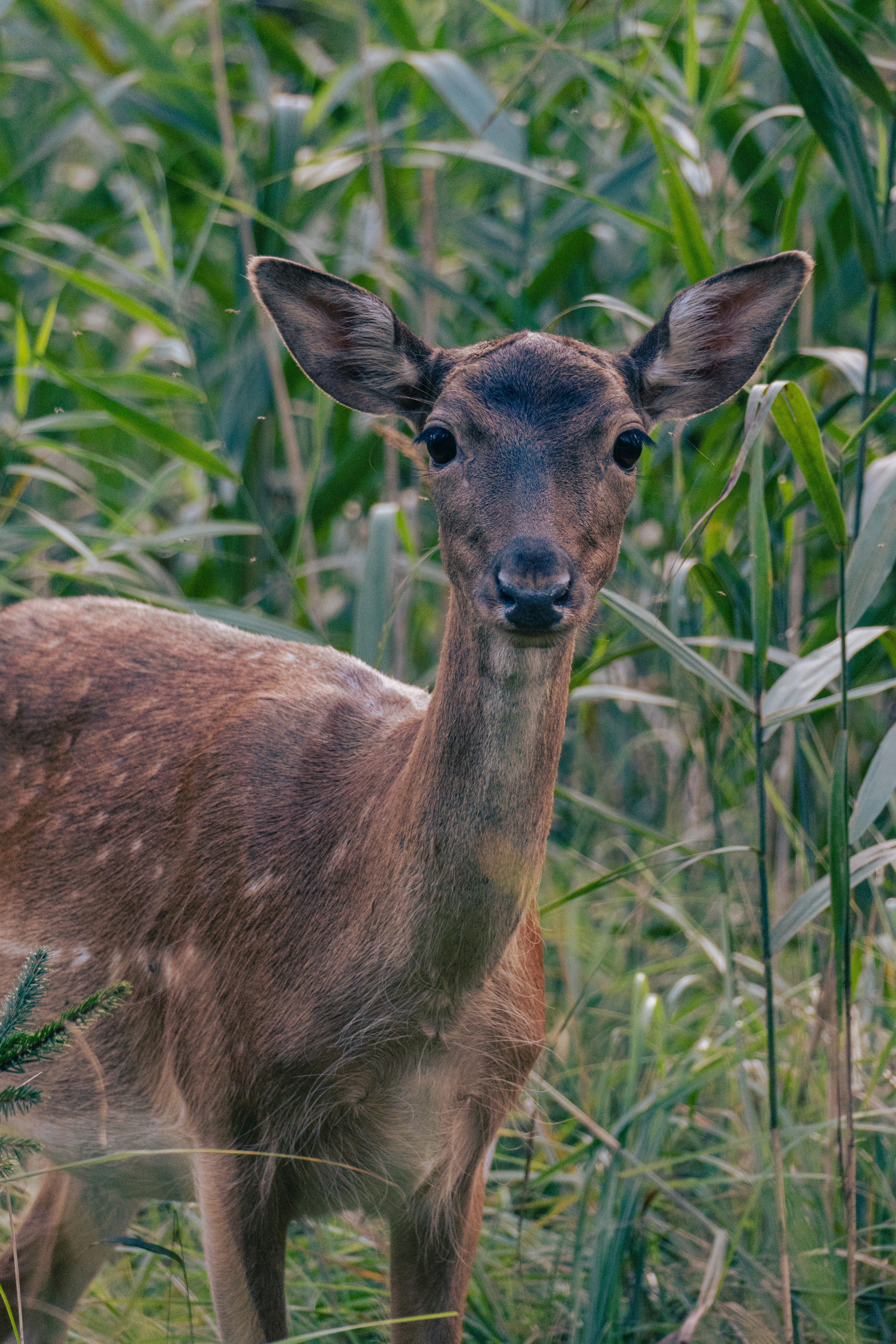 Photo by jan_ledermann