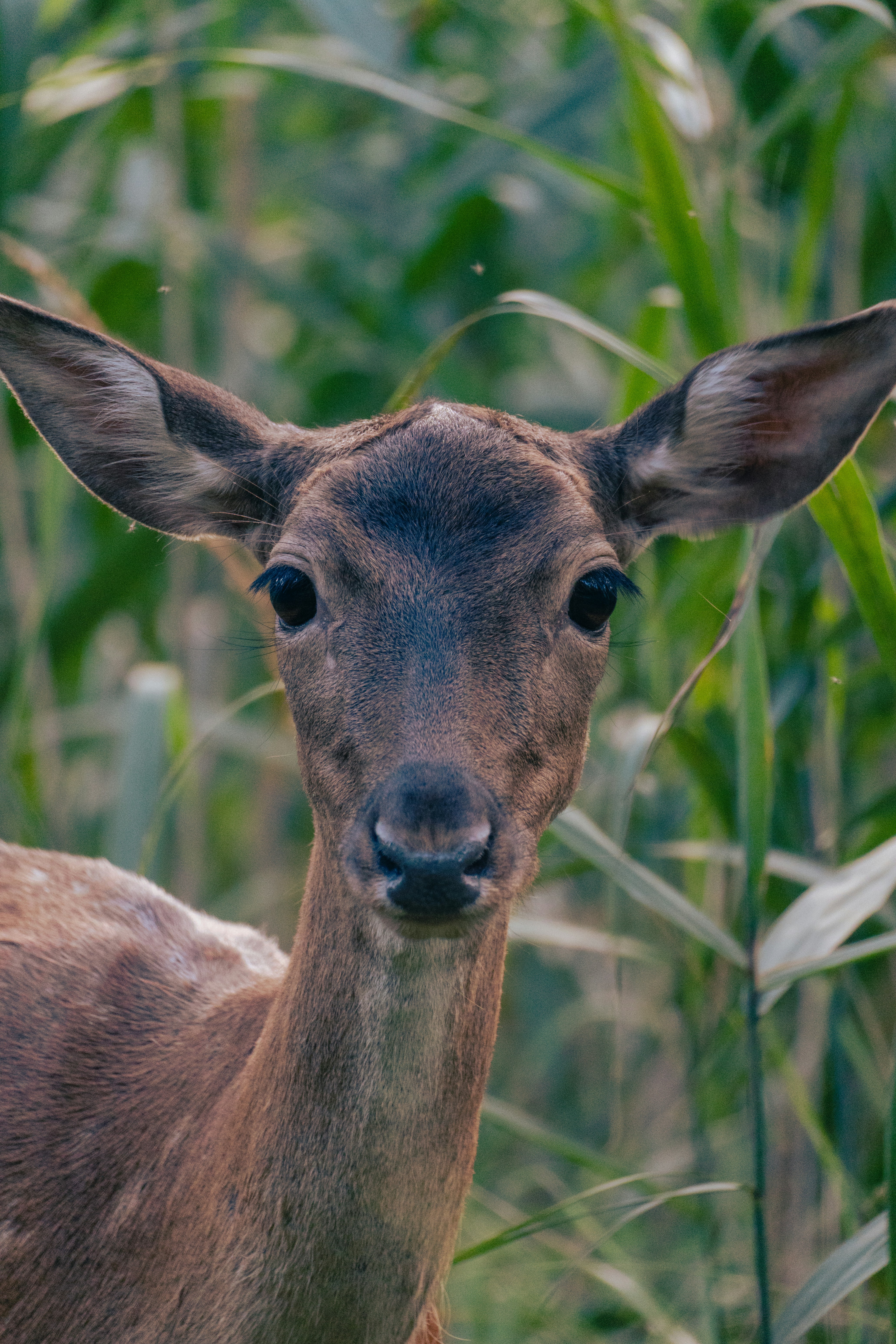 Photo by jan_ledermann