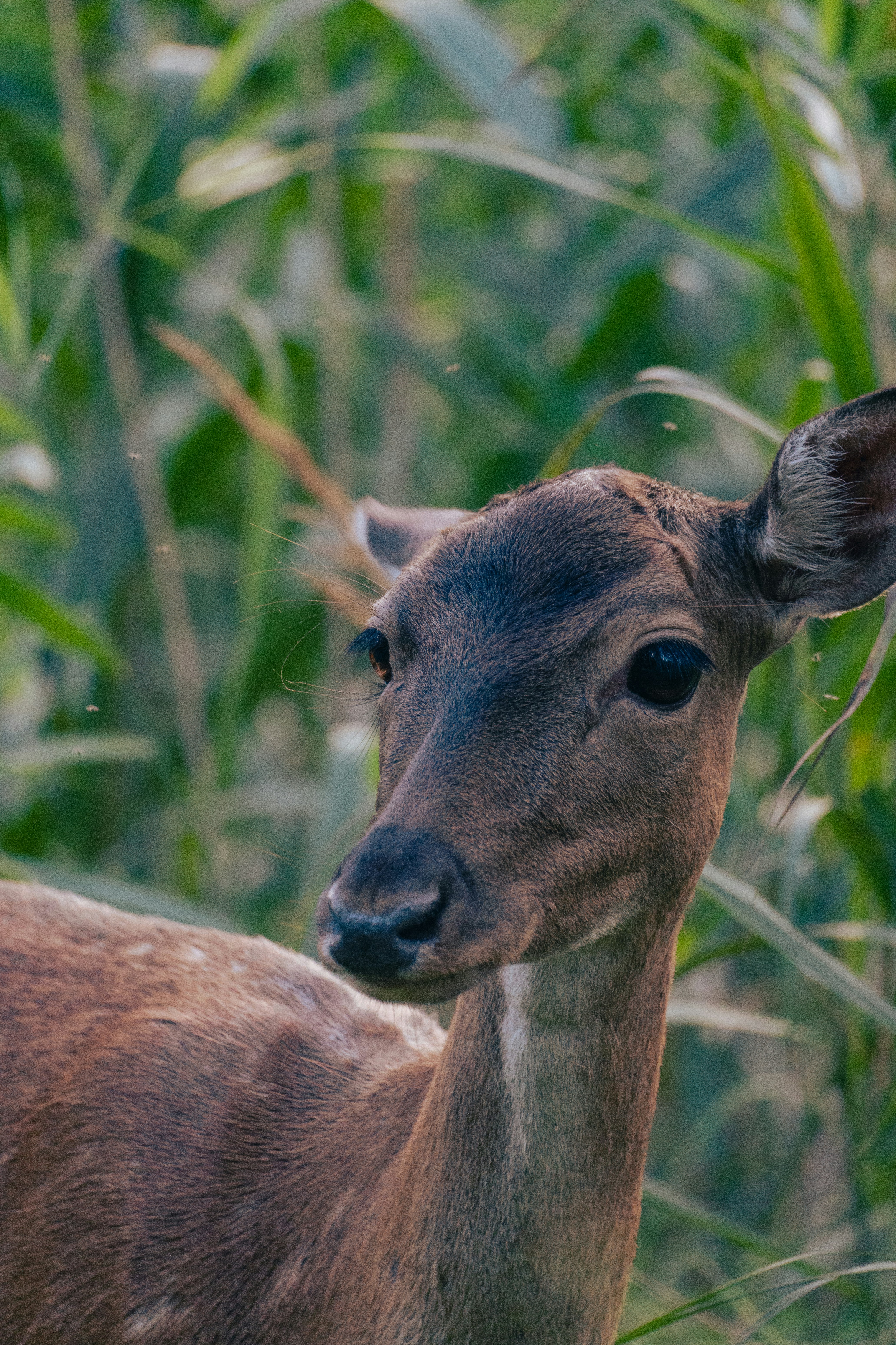 Photo by jan_ledermann