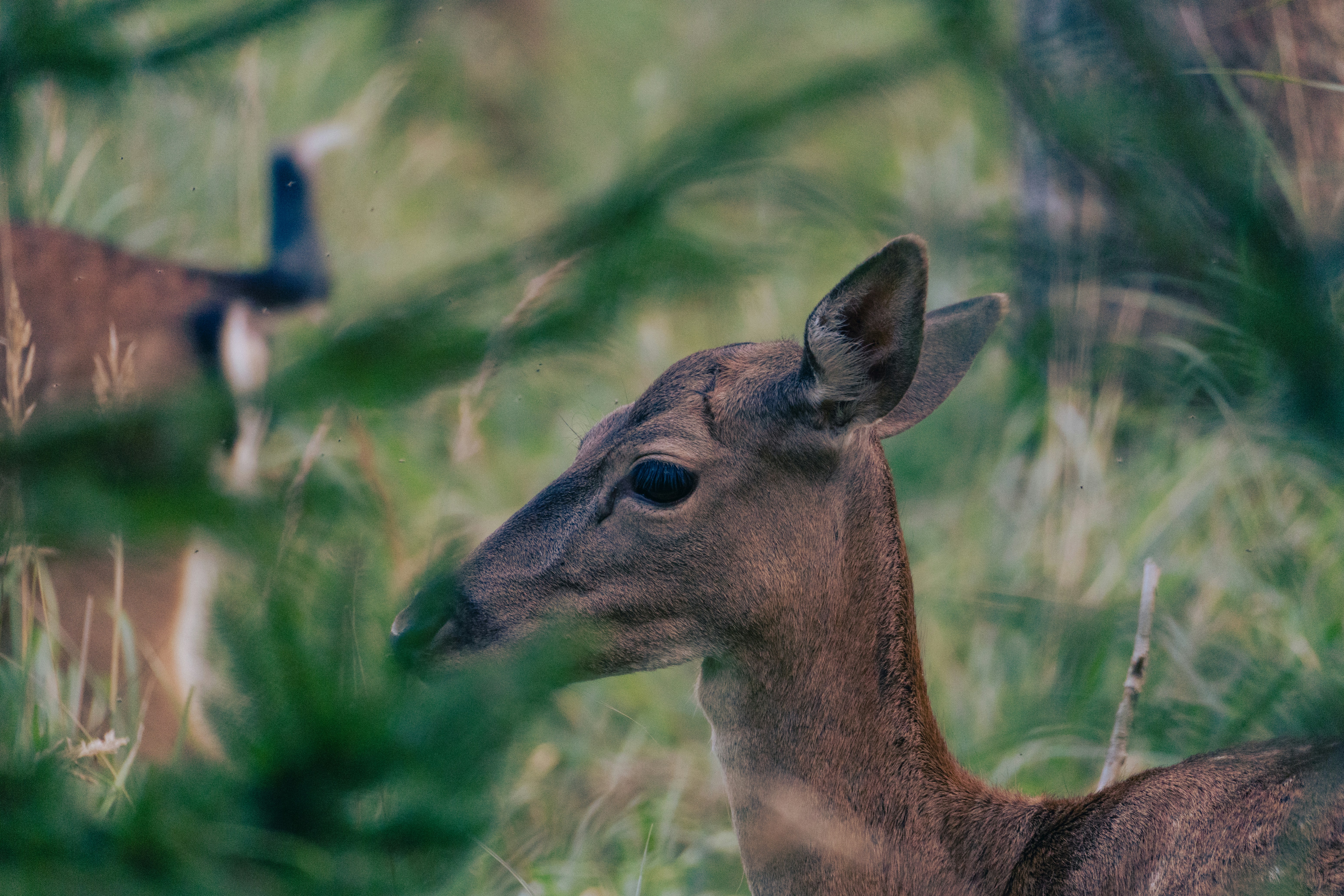 Photo by jan_ledermann