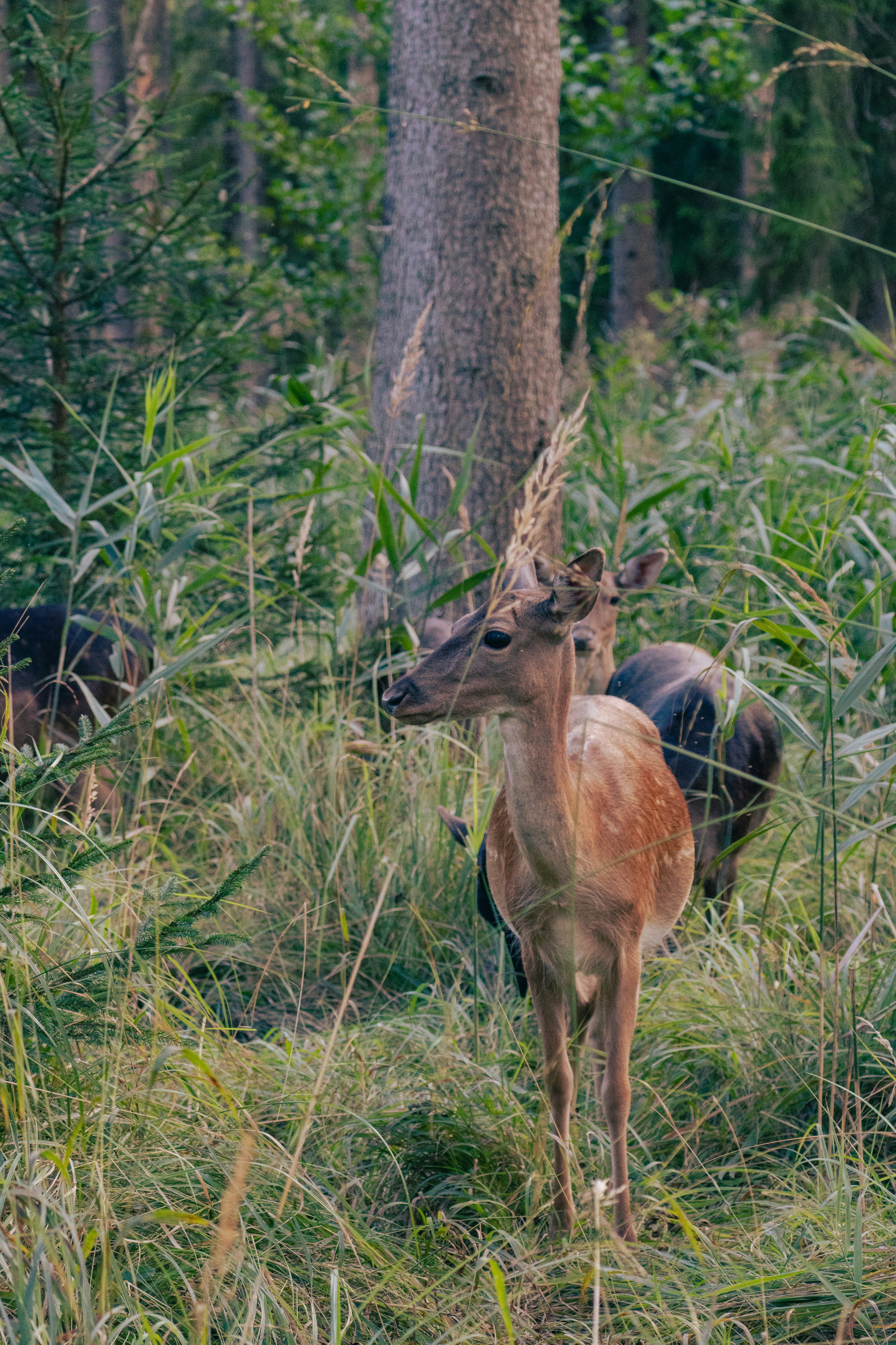 Photo by jan_ledermann