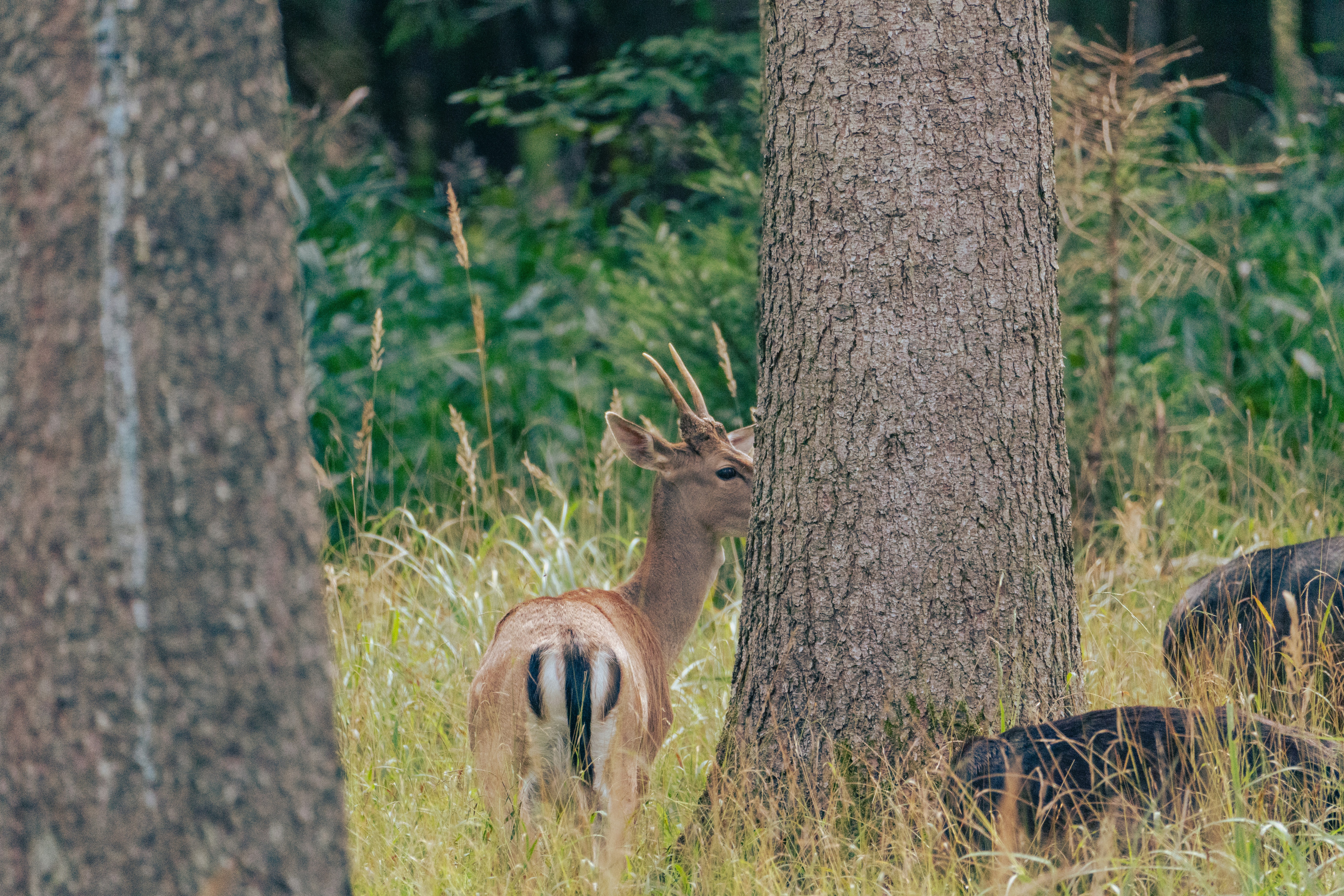 Photo by jan_ledermann