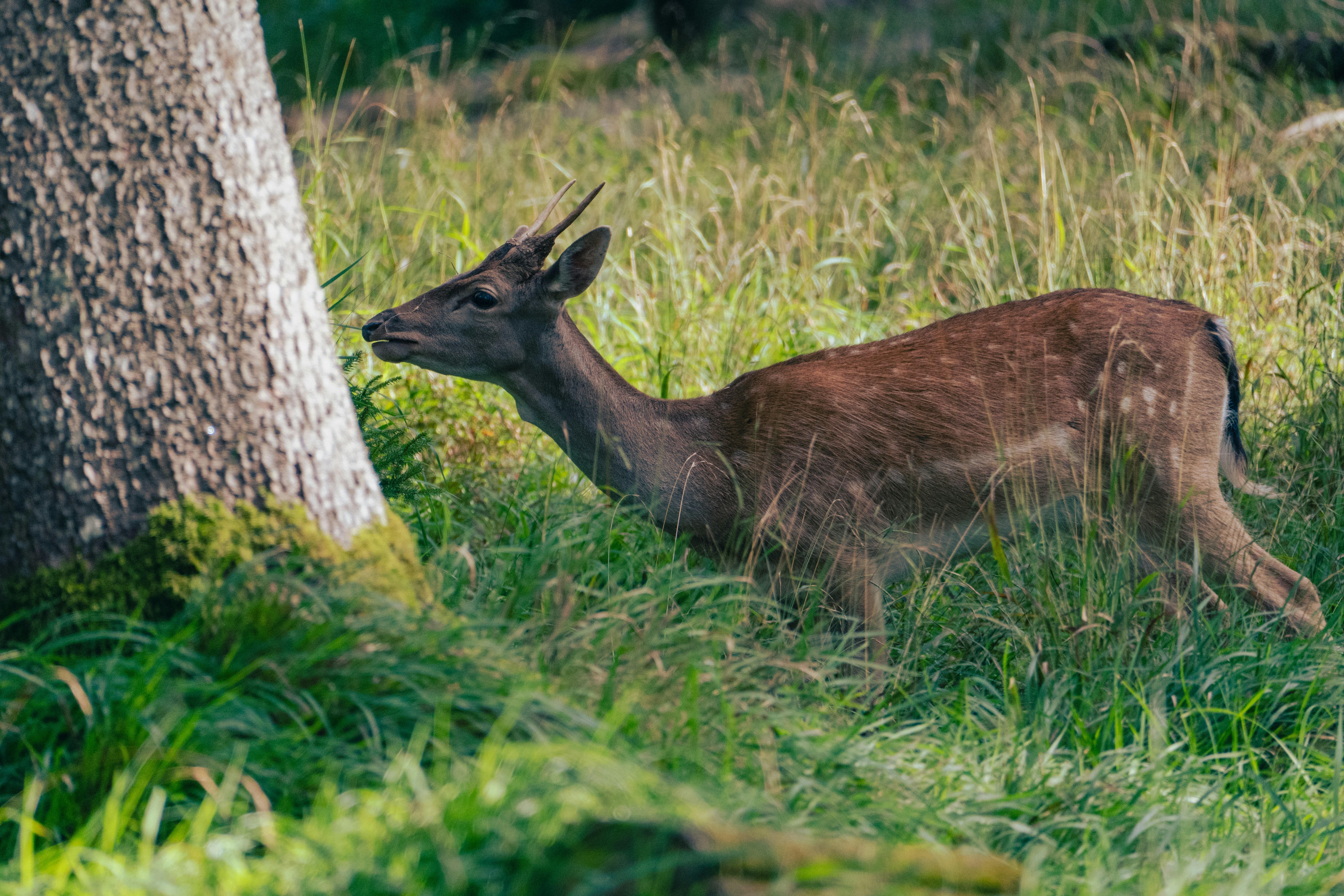 Photo by jan_ledermann