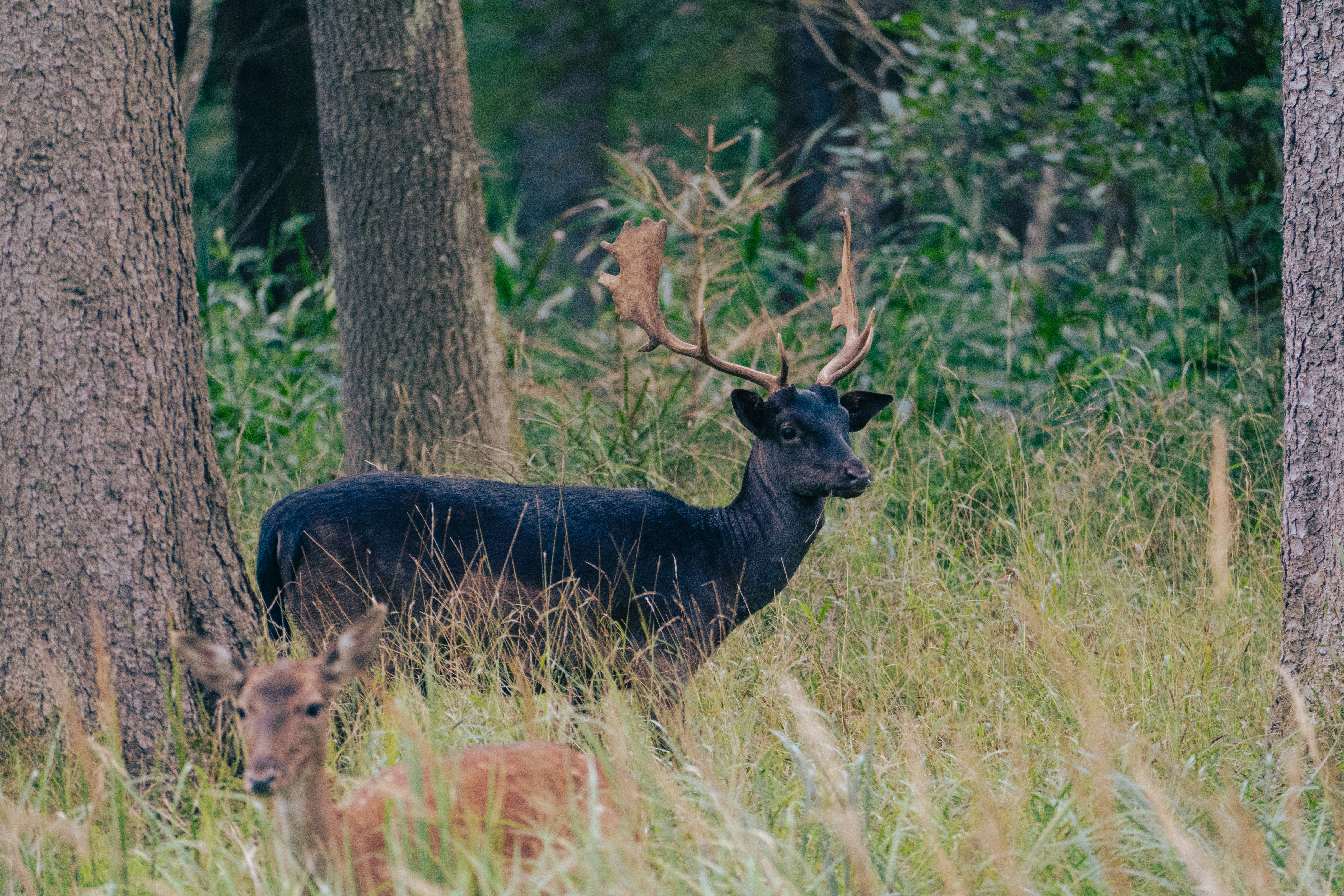 Photo by jan_ledermann