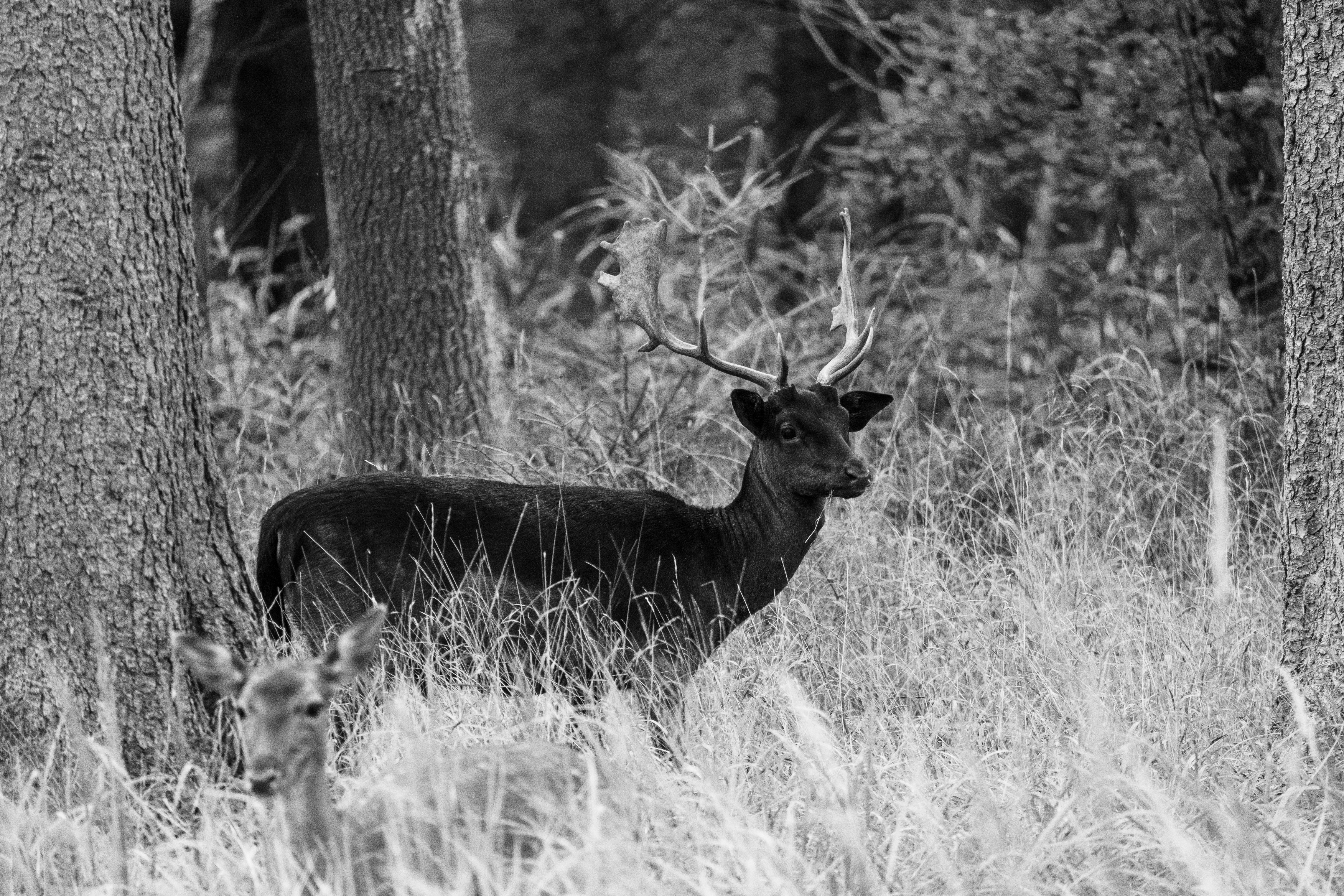 Photo by jan_ledermann