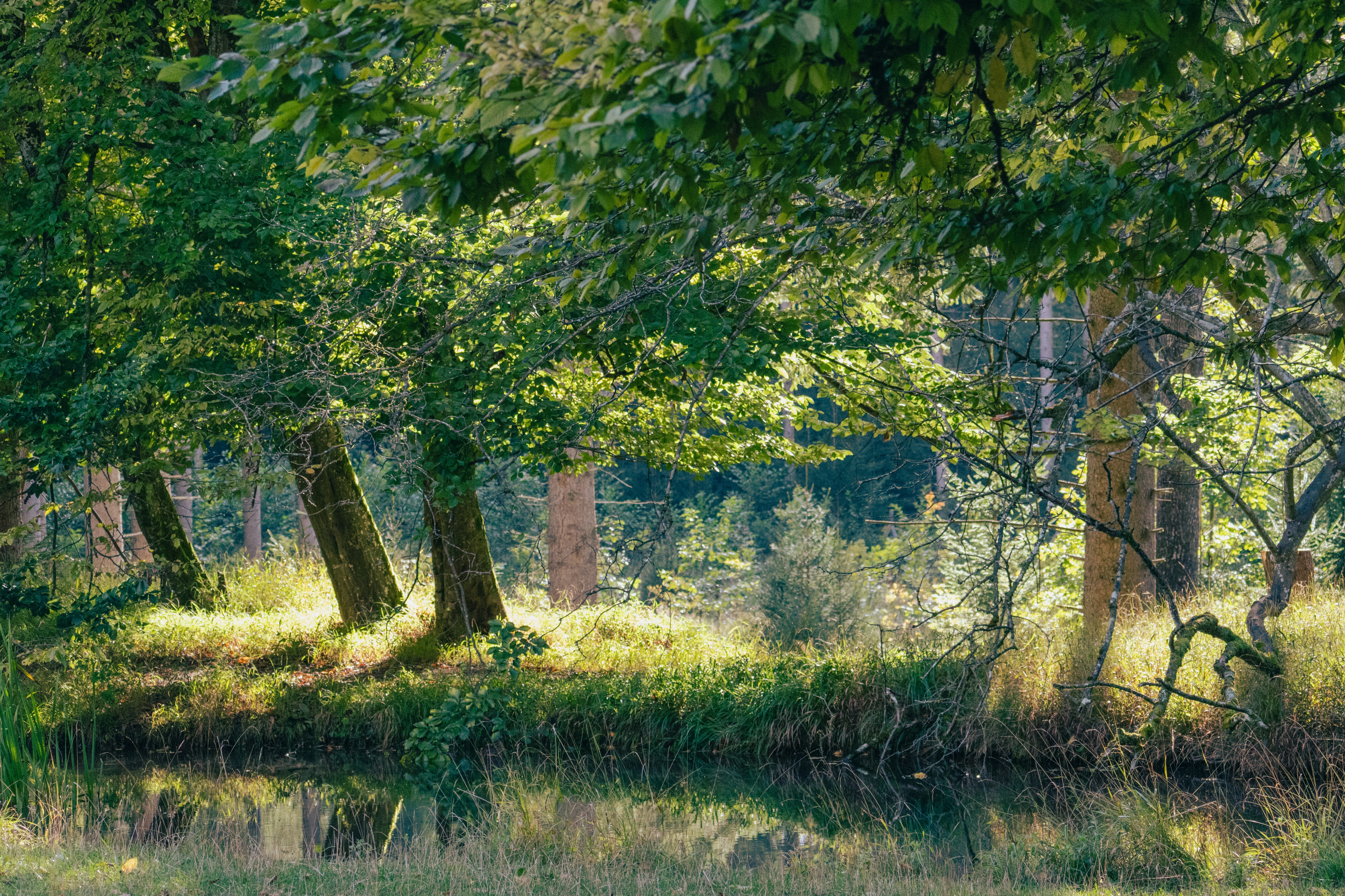 Photo by jan_ledermann