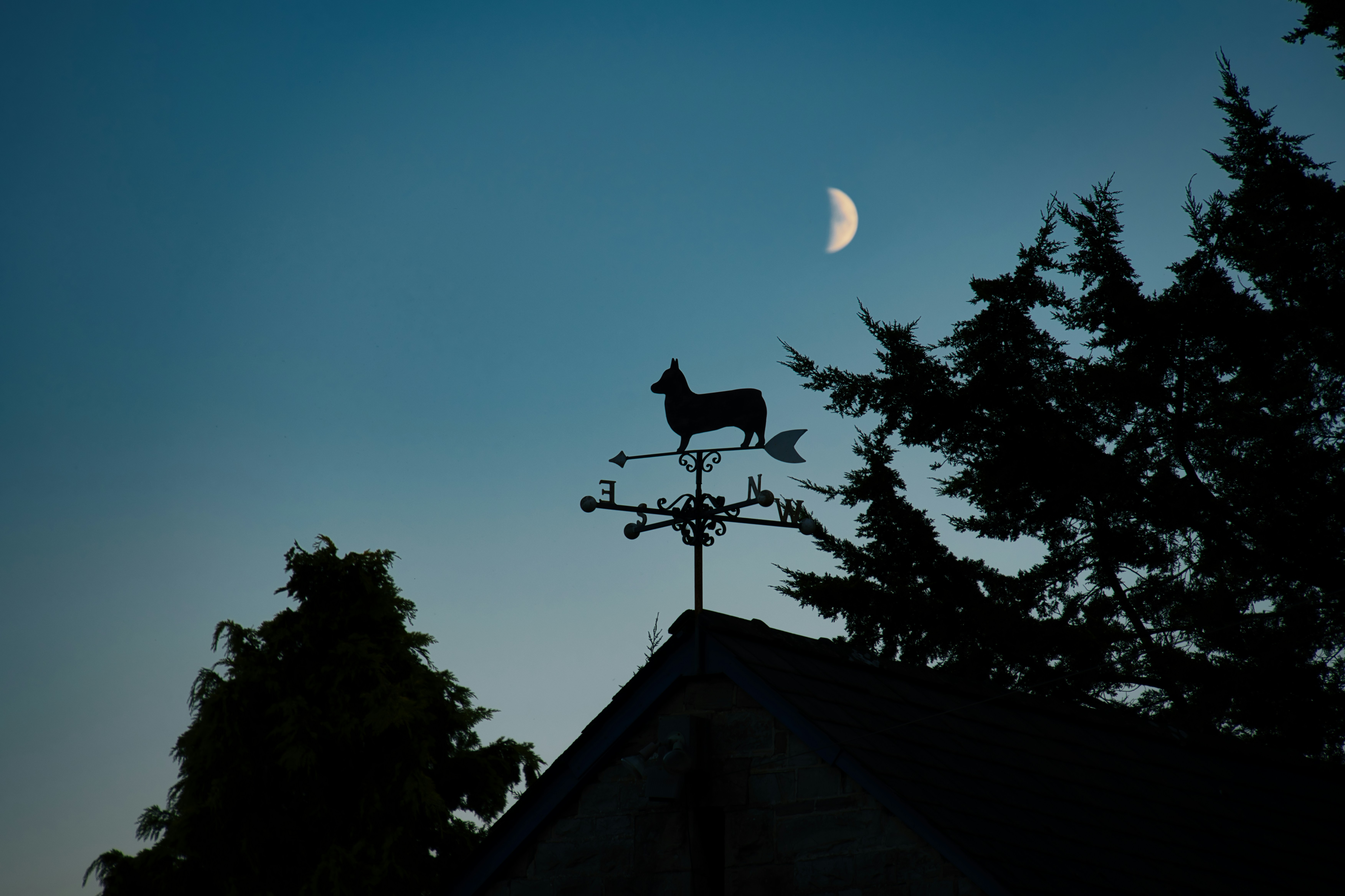 A dog on top of a weather vane at night