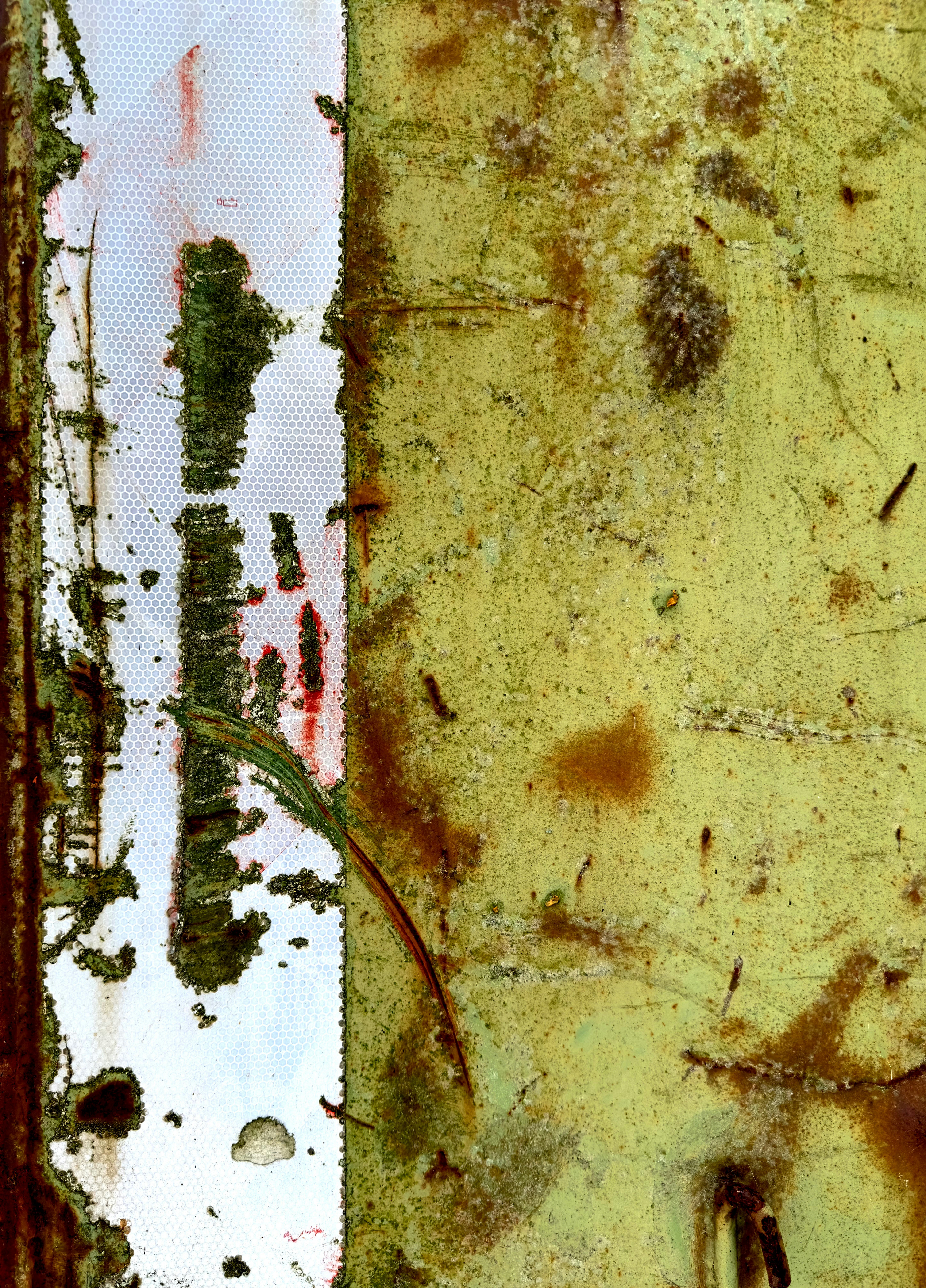 Photo by david_underland