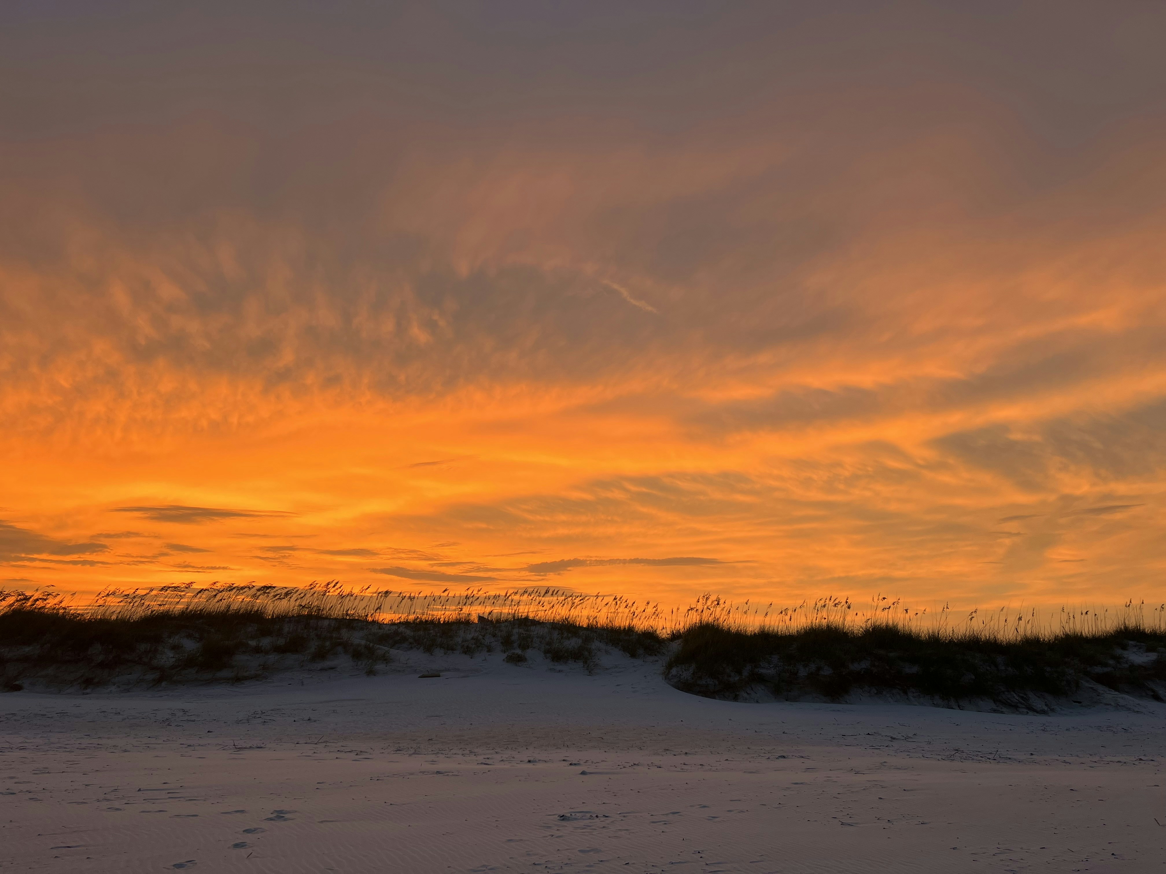 Photo by lilliancreates