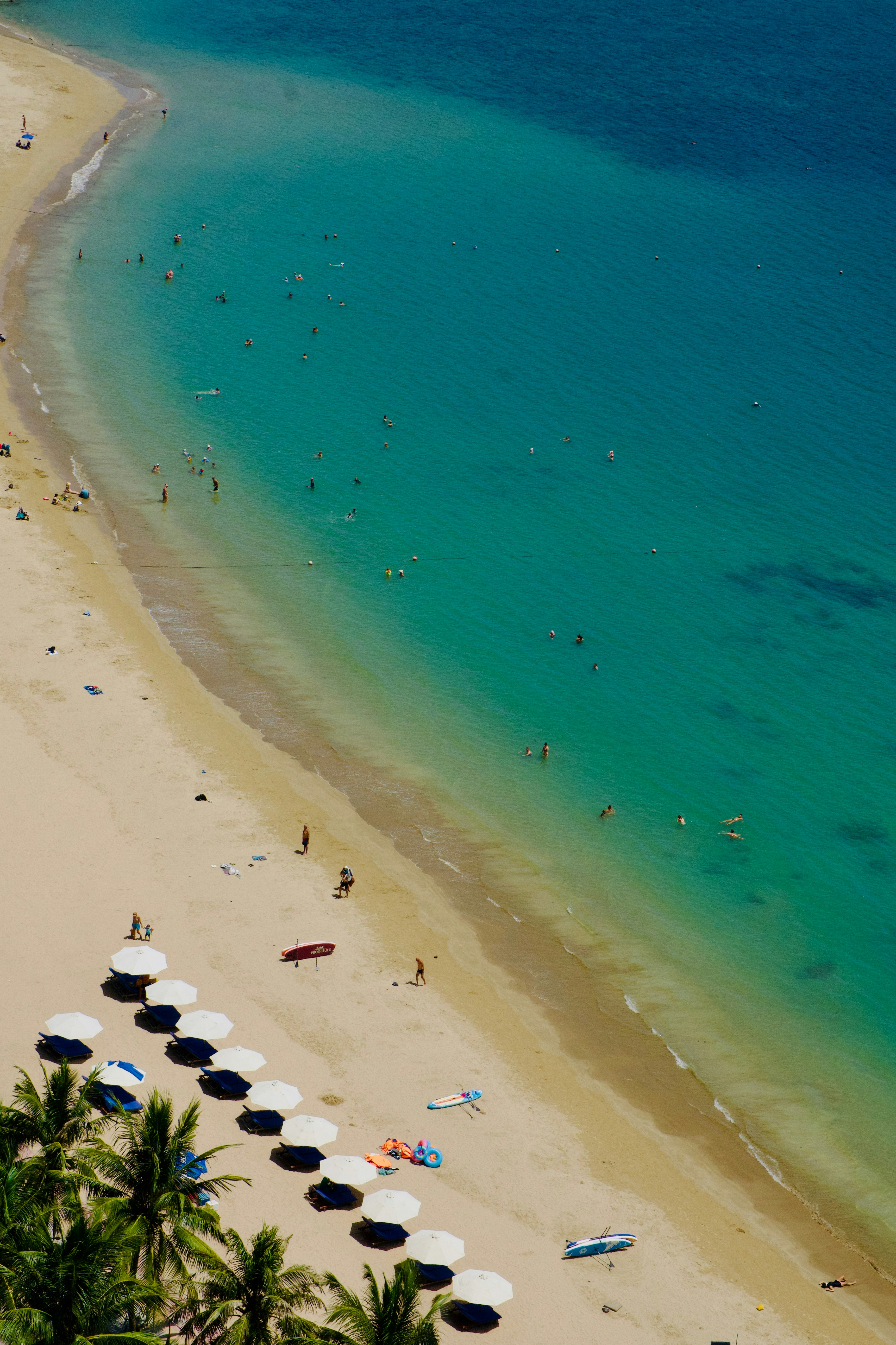 An aerial view of a beach with umbrellas and palm trees