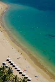 An aerial view of a beach with umbrellas and palm trees