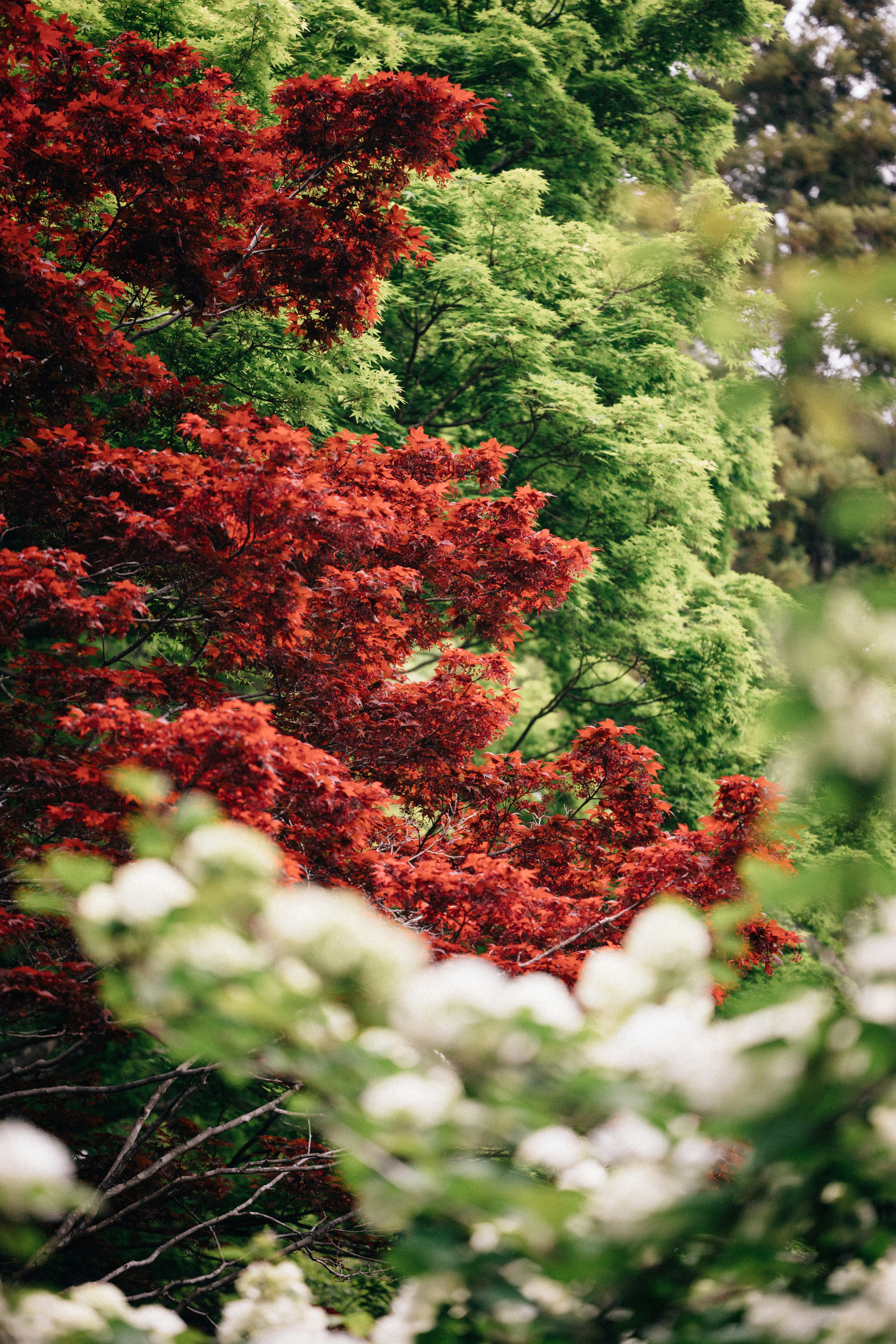 Photo by tsuyoshikozu