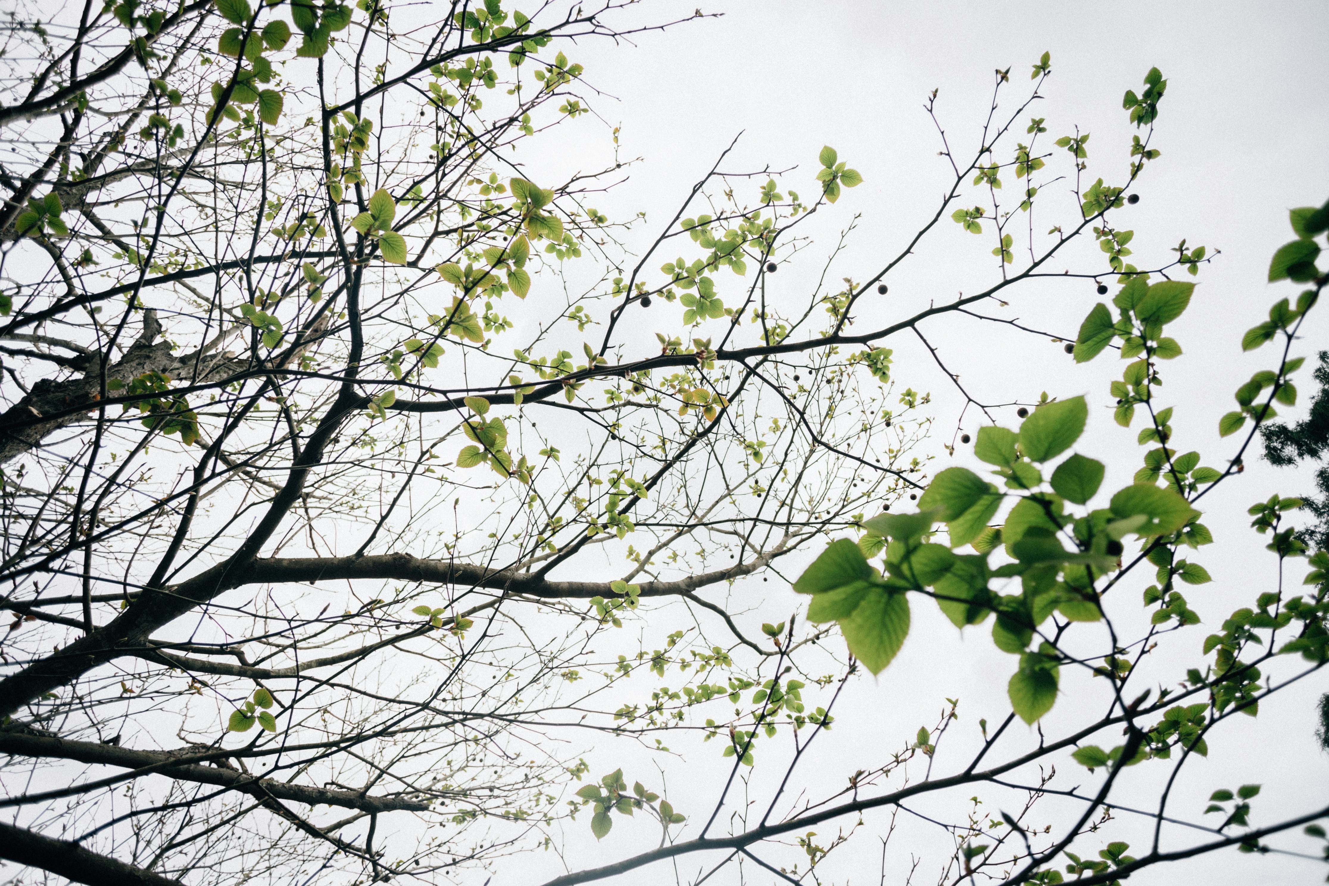 Photo by tsuyoshikozu