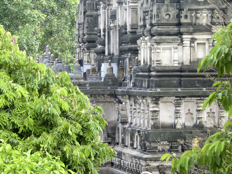 Gaya & Bodh Gaya Spiritual Tour