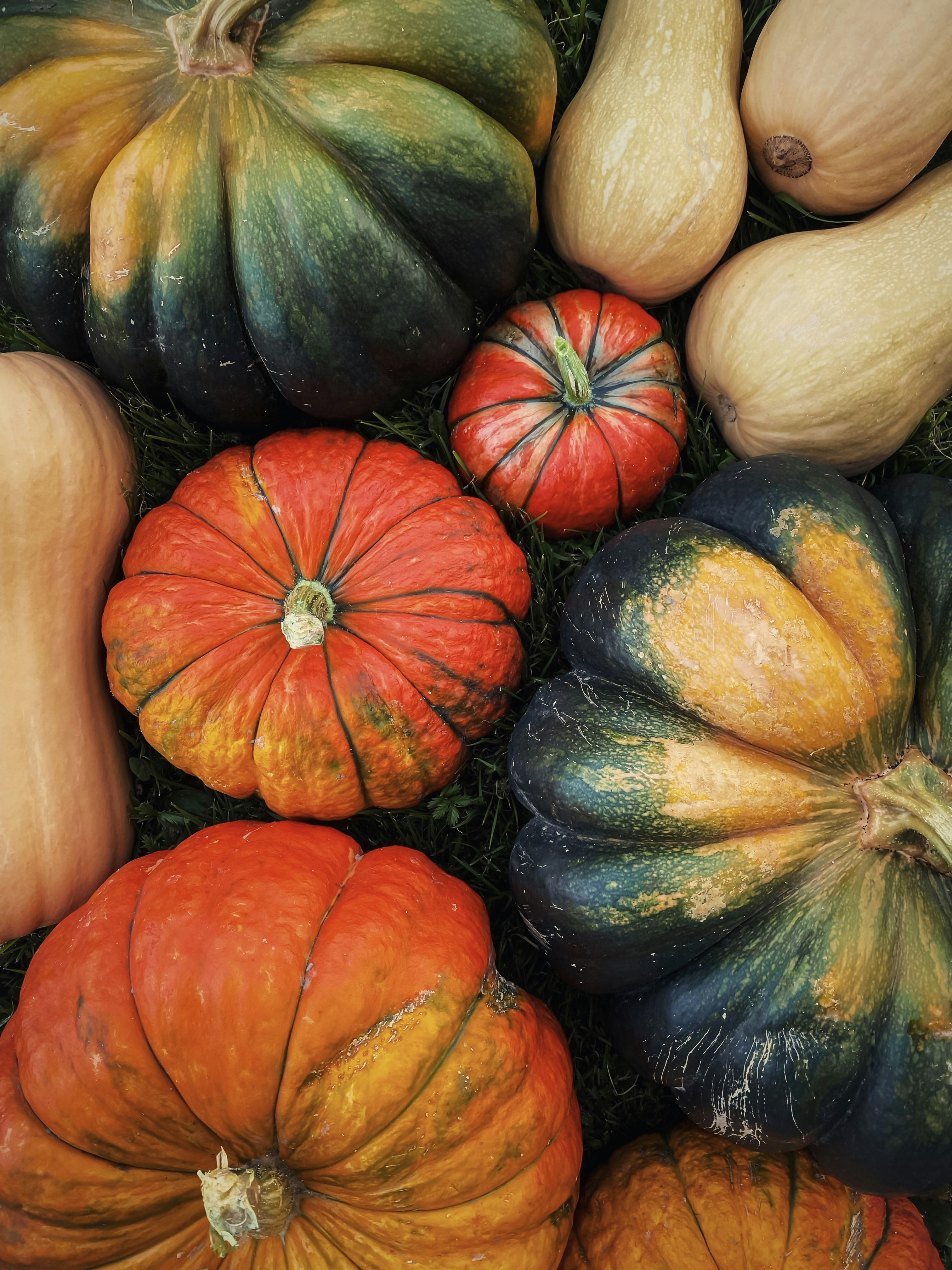 Ein Strauß Kürbisse sitzt im Gras