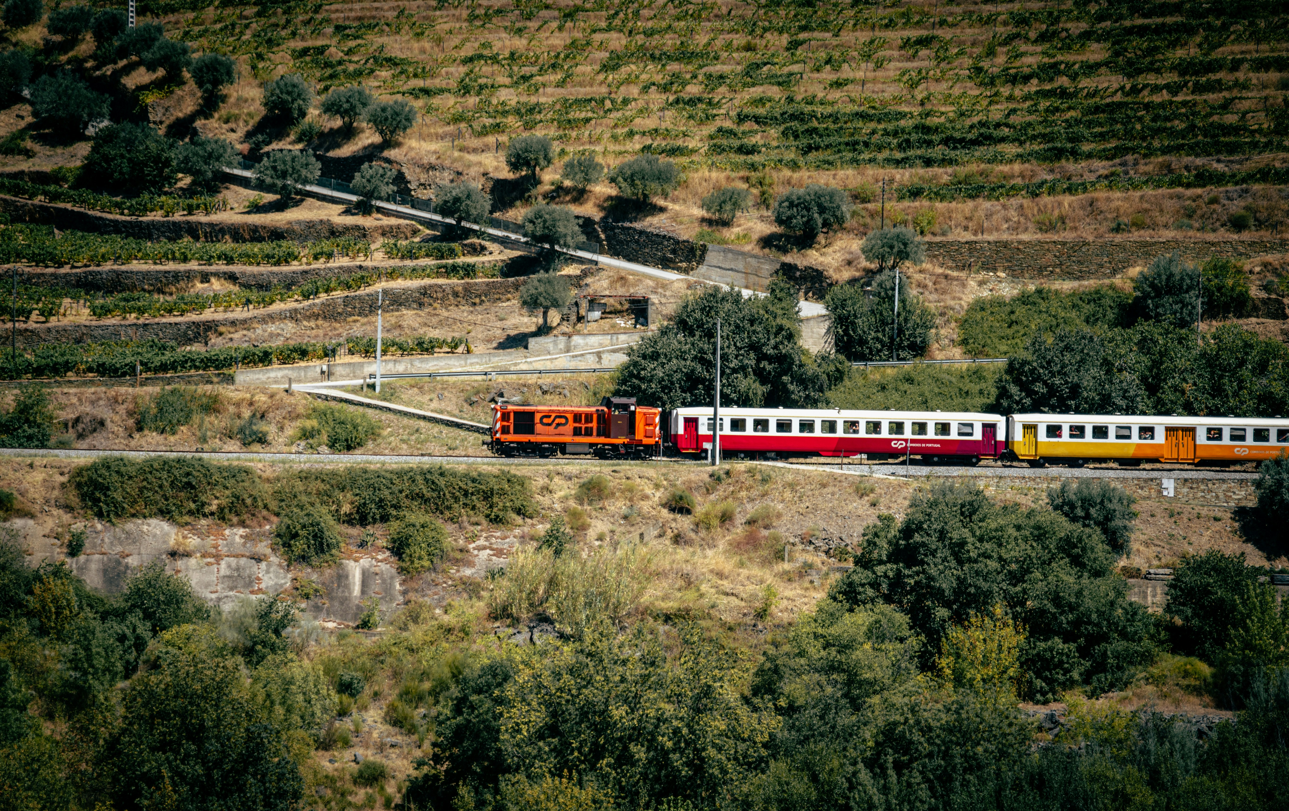 A train traveling through a lush green countryside