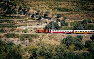 A train traveling through a lush green countryside