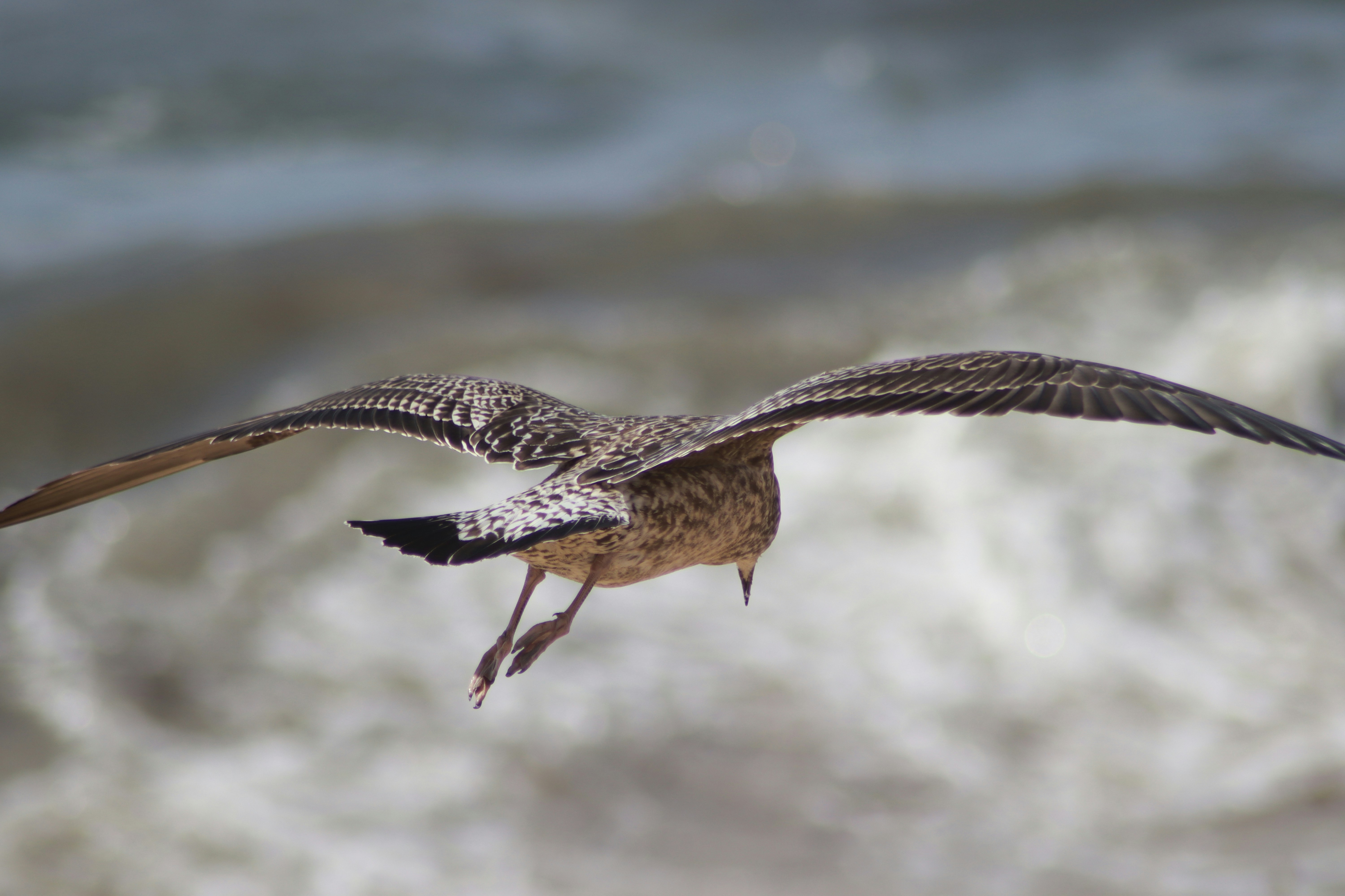 Photo by lfcsfilipesousa