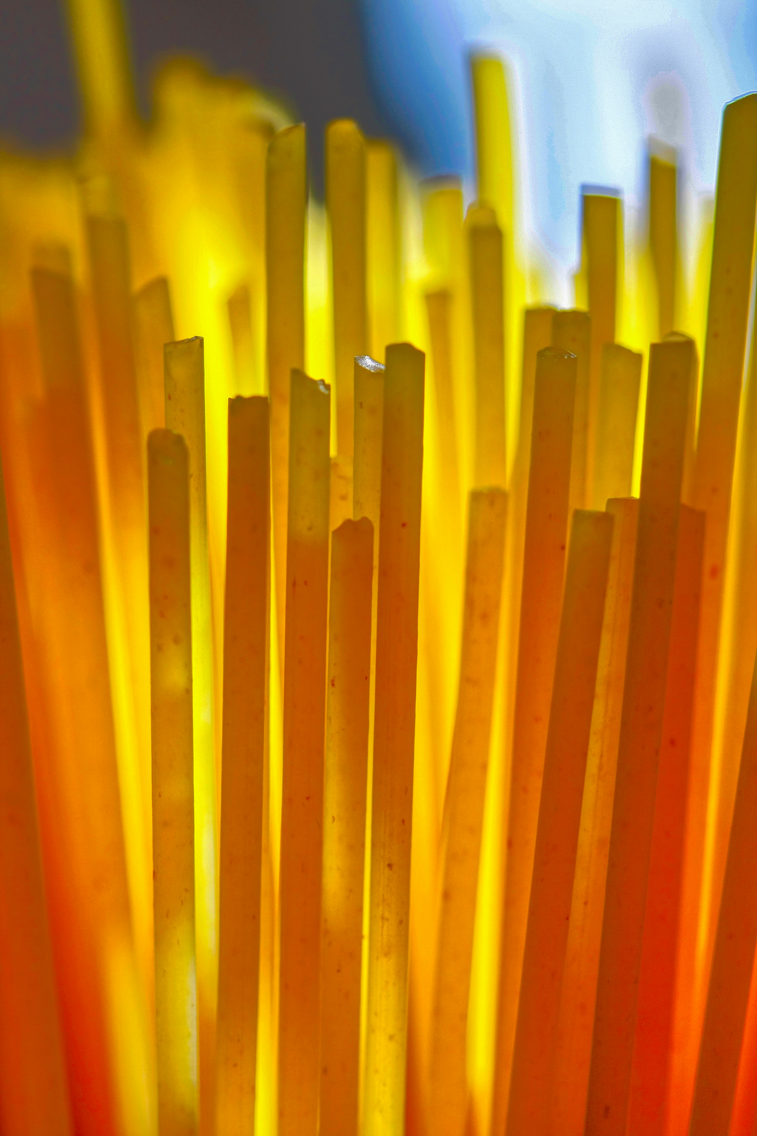 Photo by thomaskinto