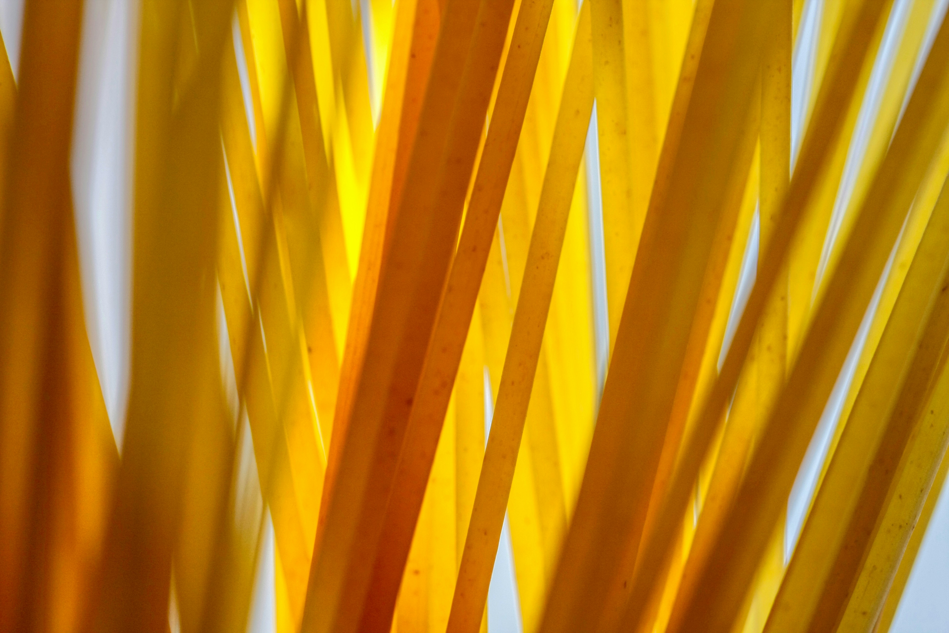 Photo by thomaskinto