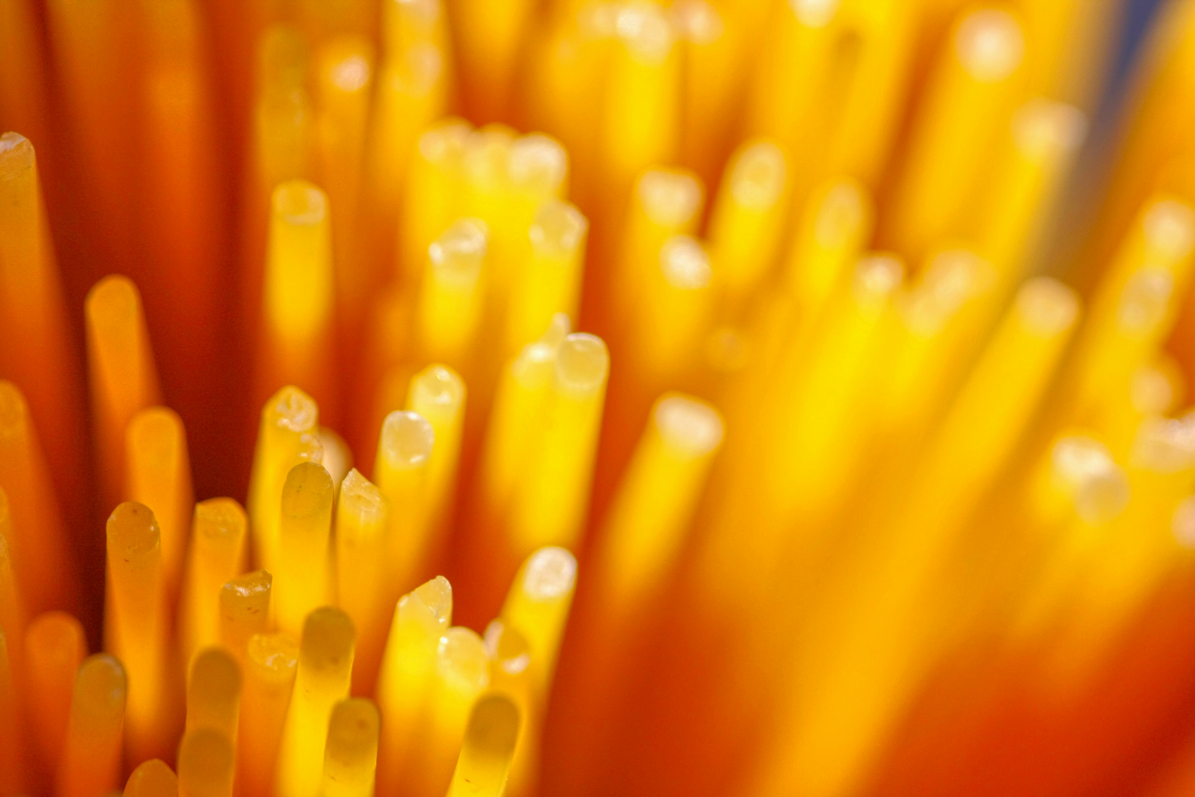 Photo by thomaskinto