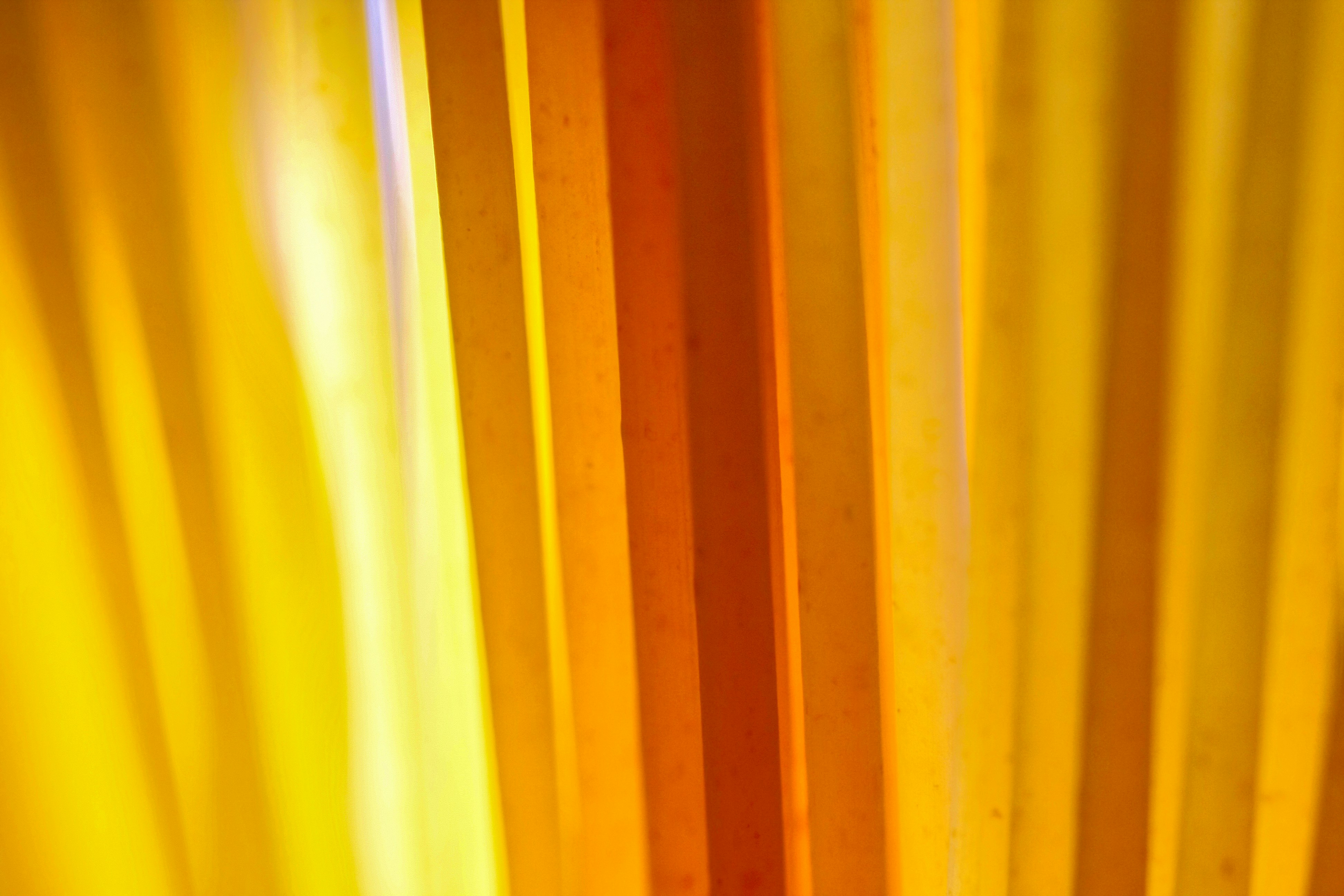 Photo by thomaskinto