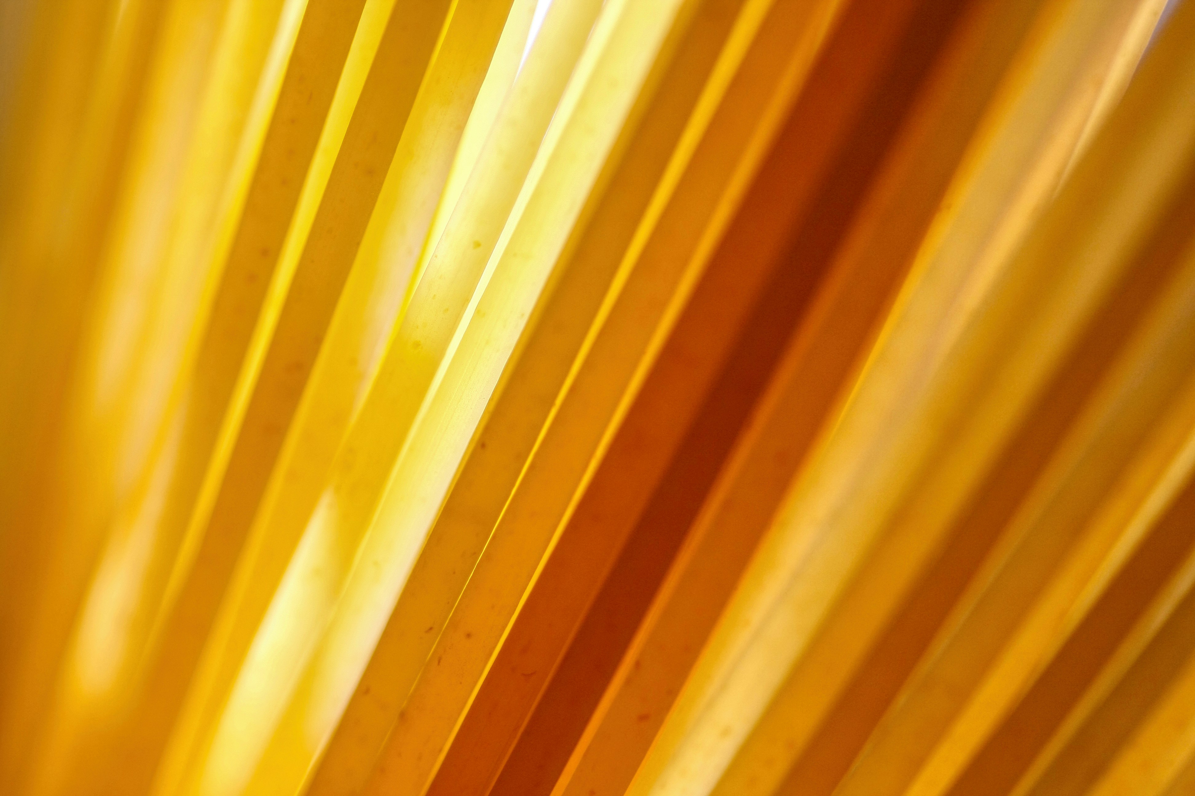 Photo by thomaskinto