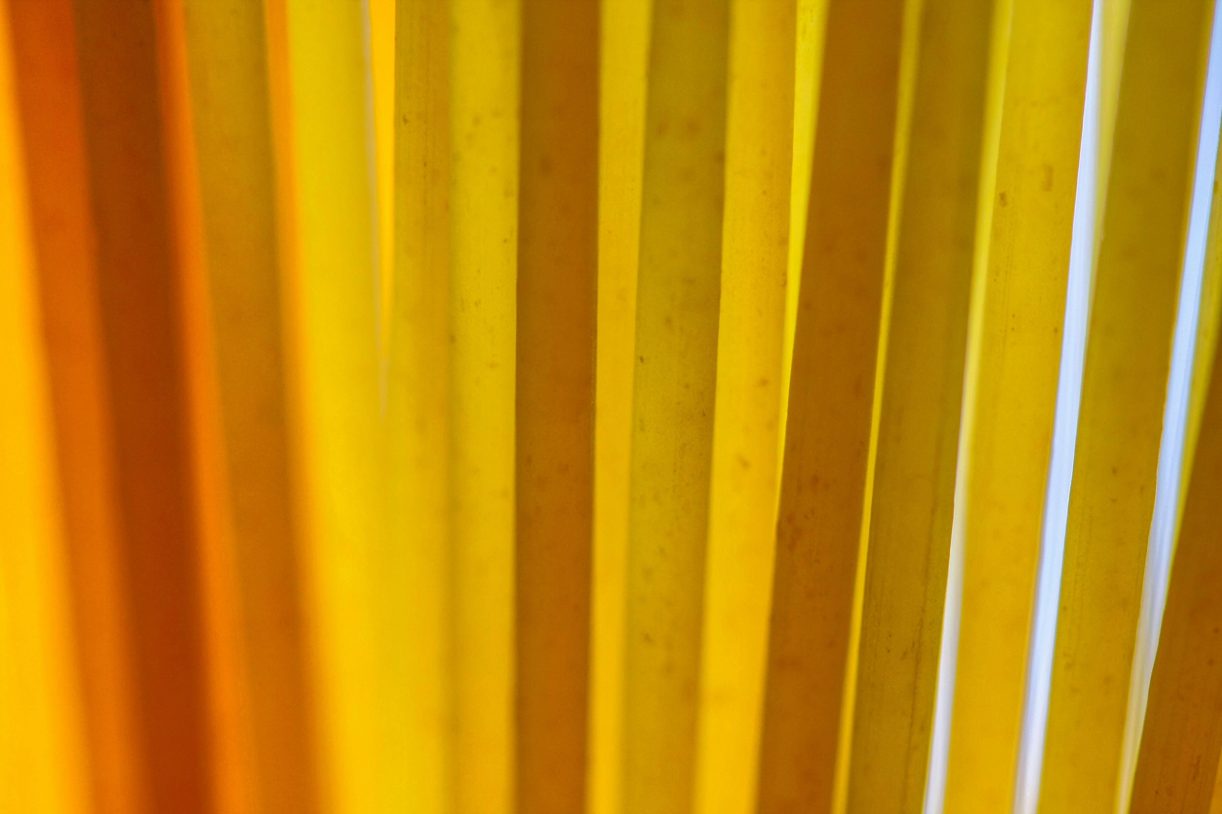 Photo by thomaskinto