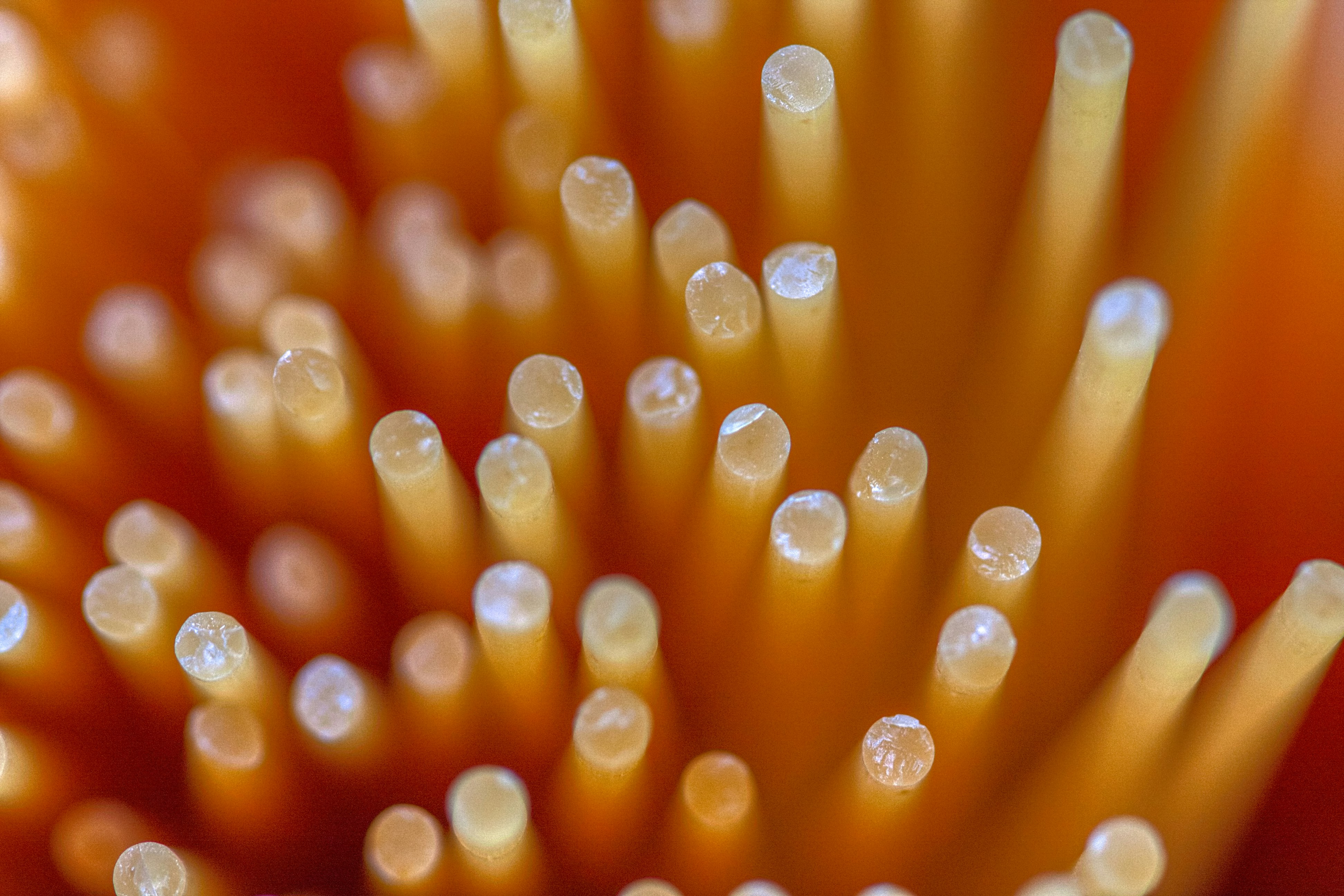 Photo by thomaskinto