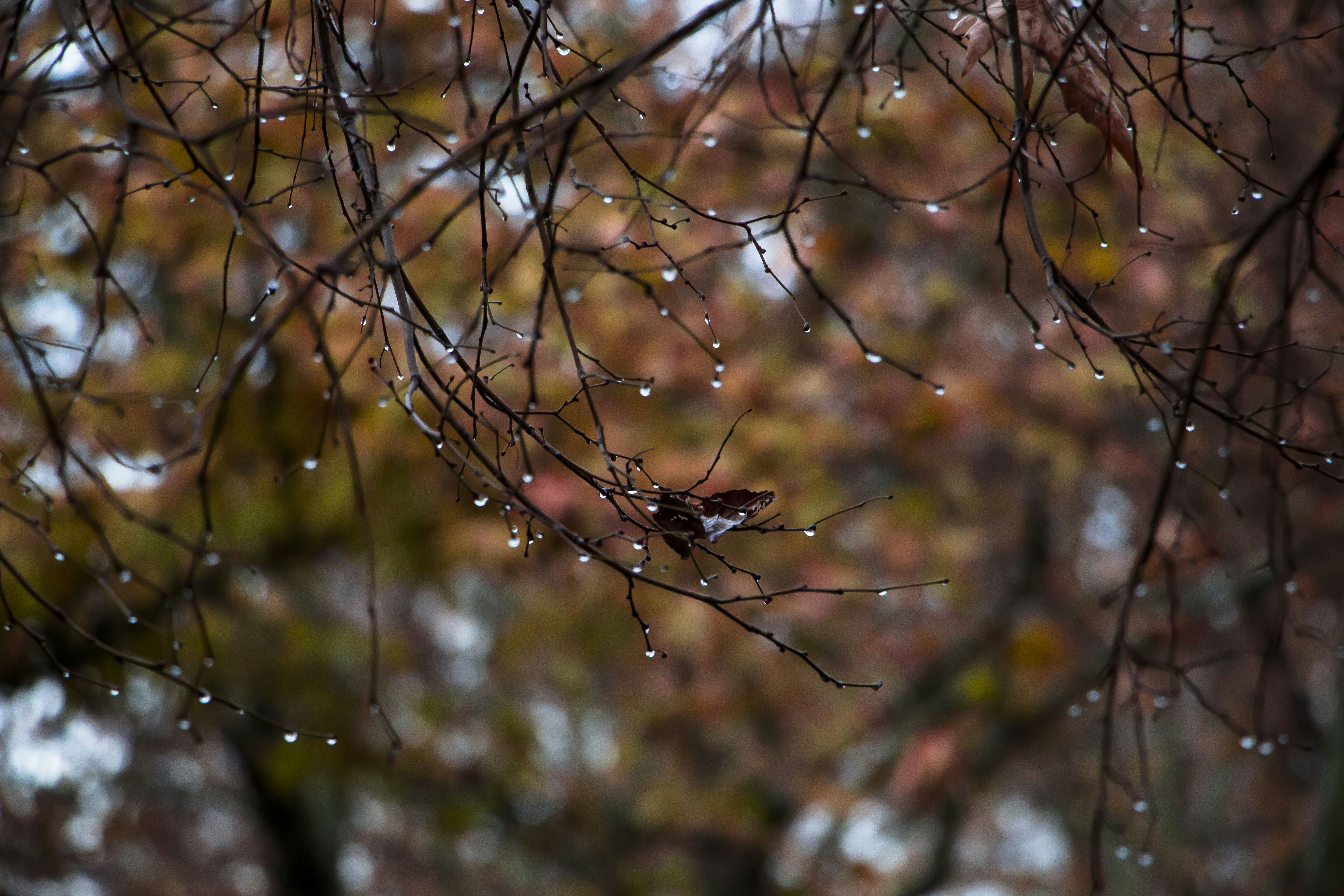 Photo by fatemehmah_