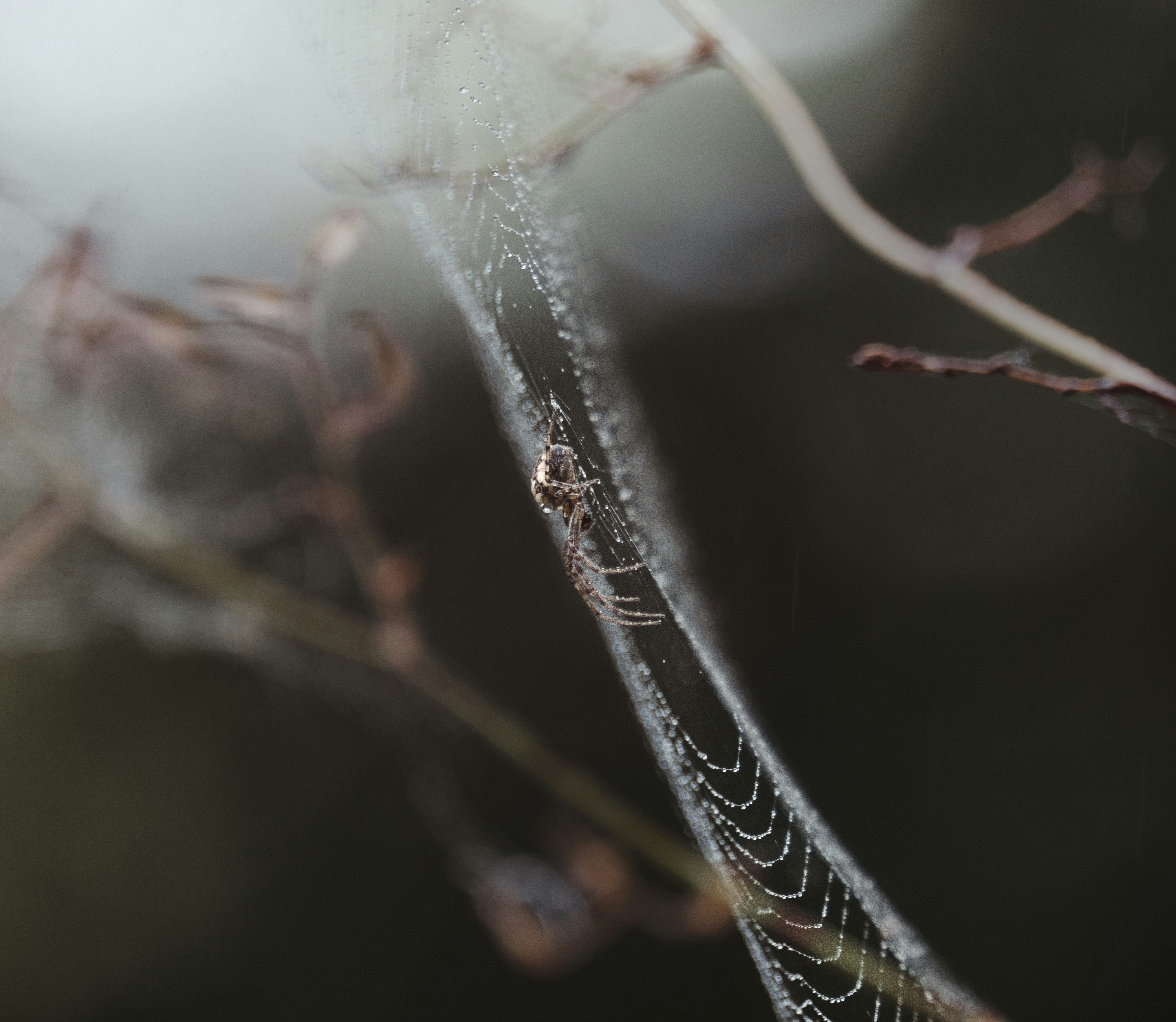 Photo by rory_tucker_photography